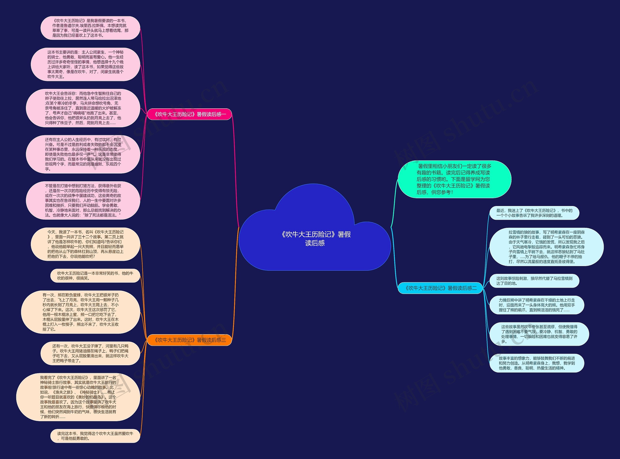 《吹牛大王历险记》暑假读后感思维导图