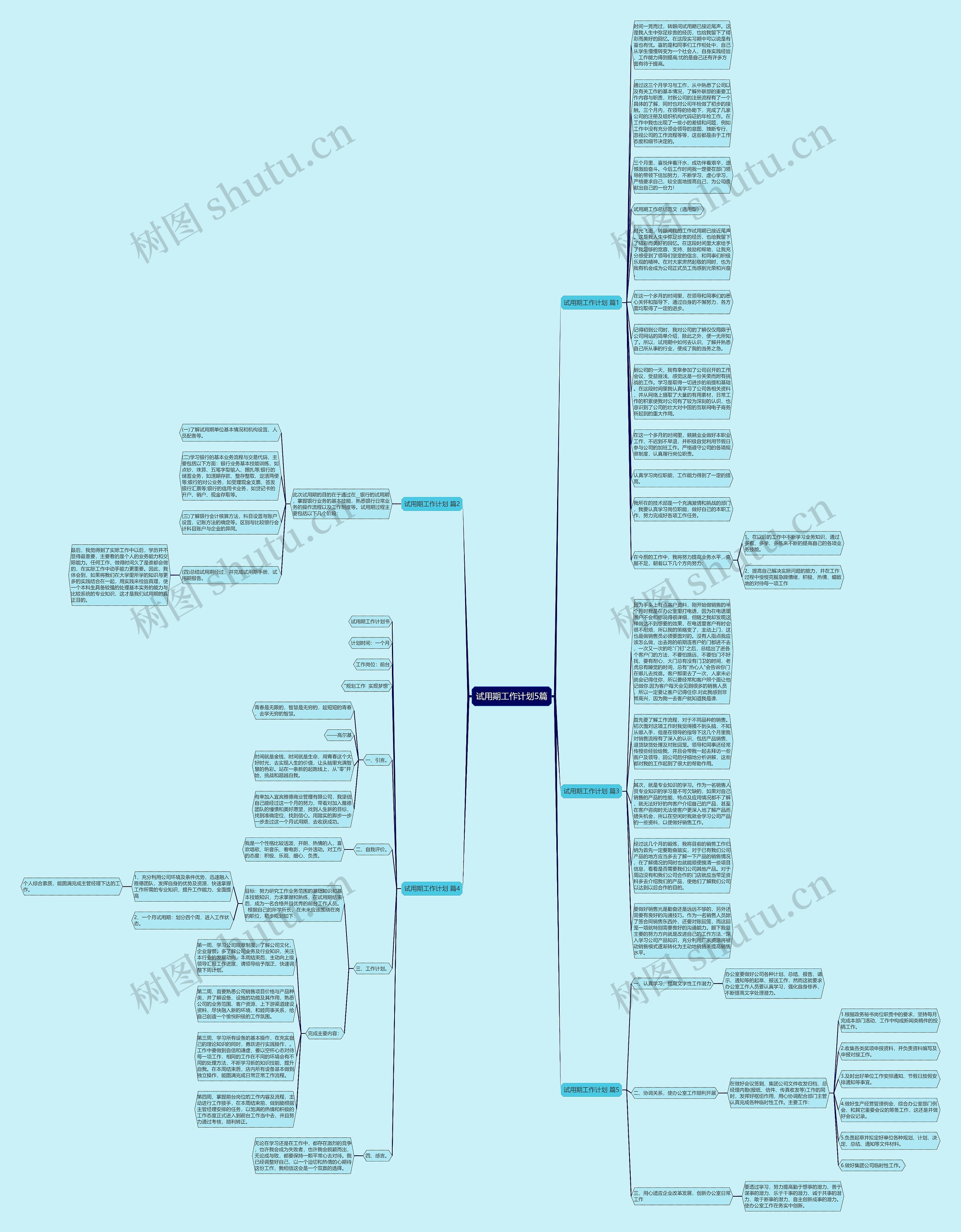 试用期工作计划5篇思维导图
