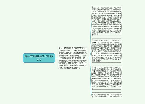 高一实习班主任工作计划2020