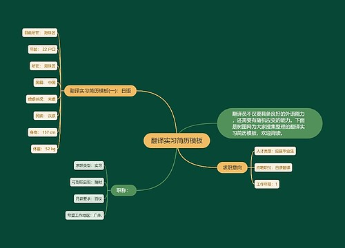翻译实习简历模板