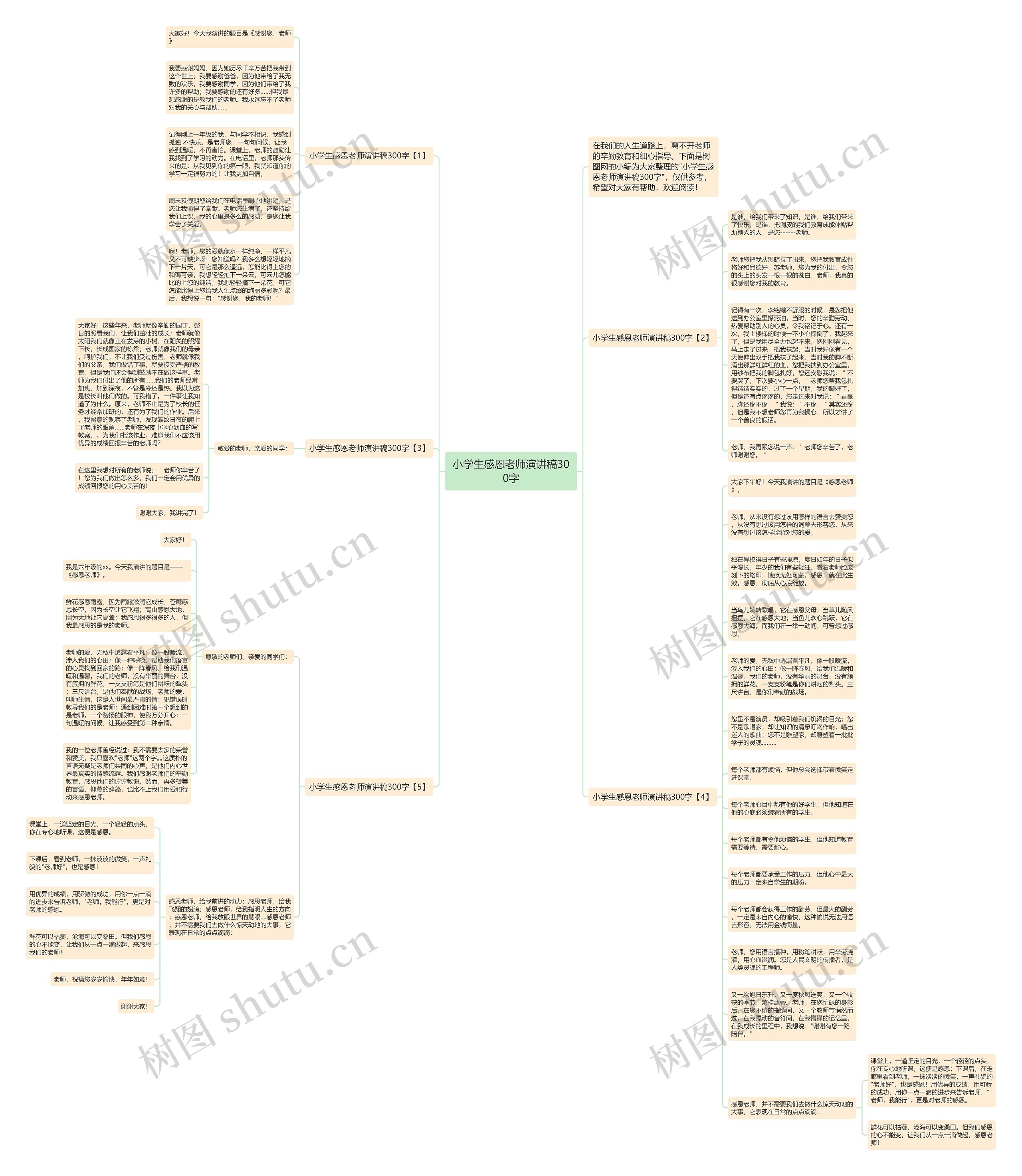 小学生感恩老师演讲稿300字思维导图