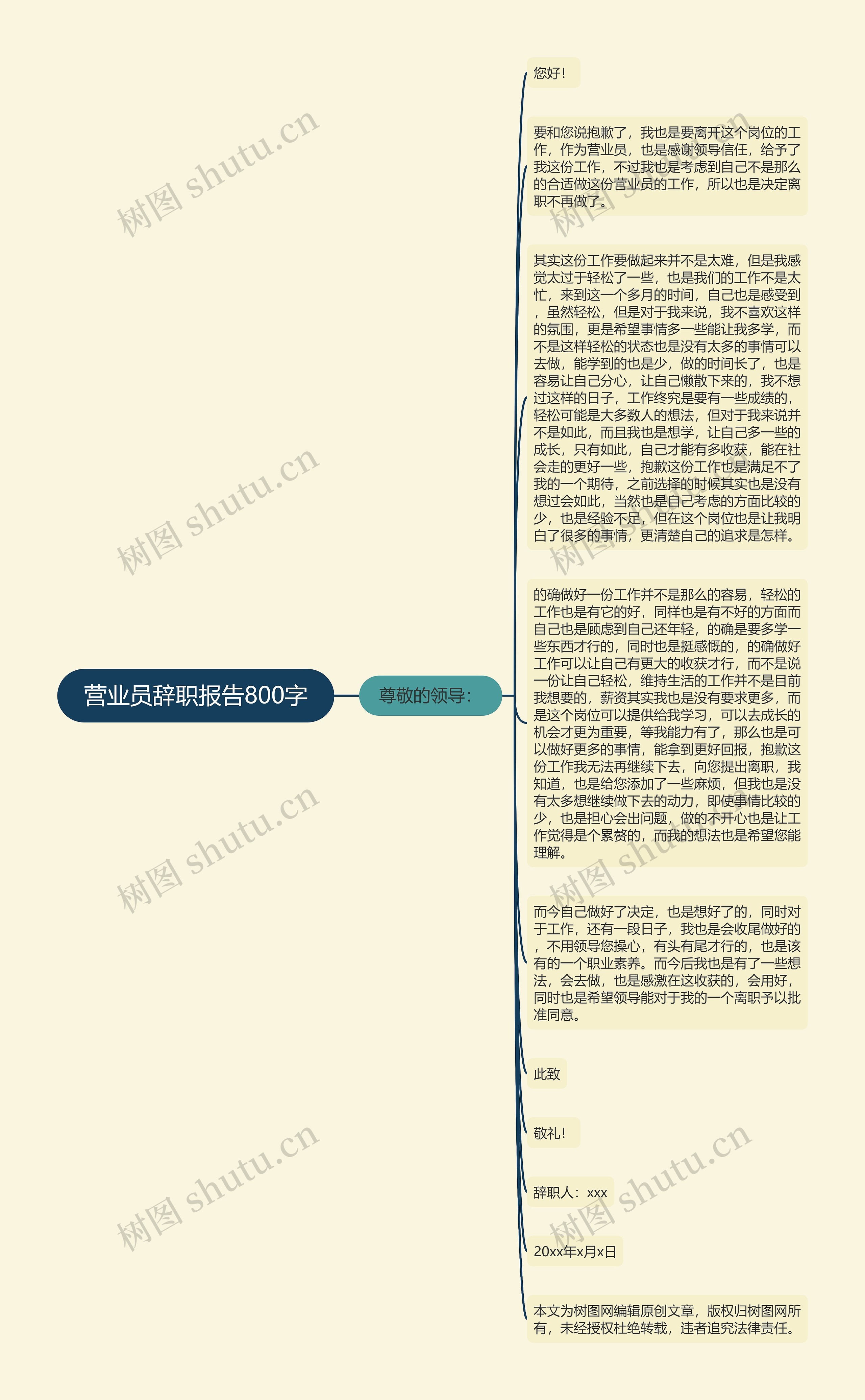营业员辞职报告800字思维导图