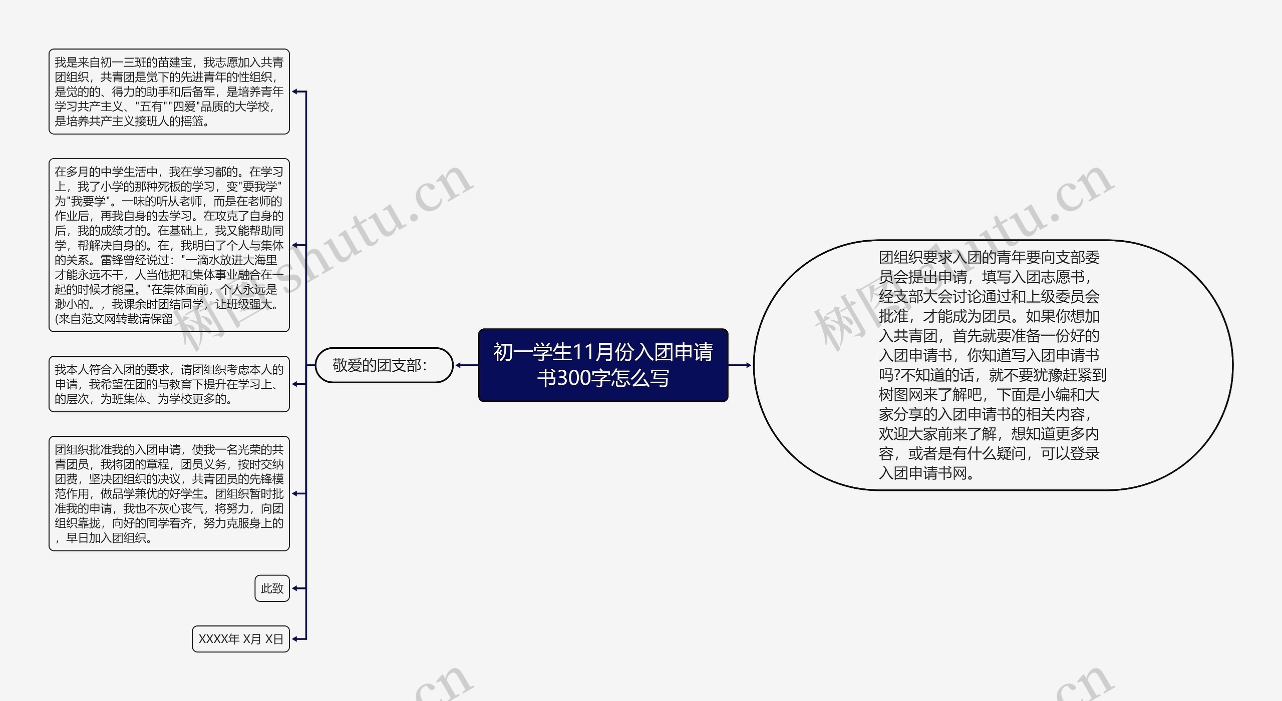 初一学生11月份入团申请书300字怎么写