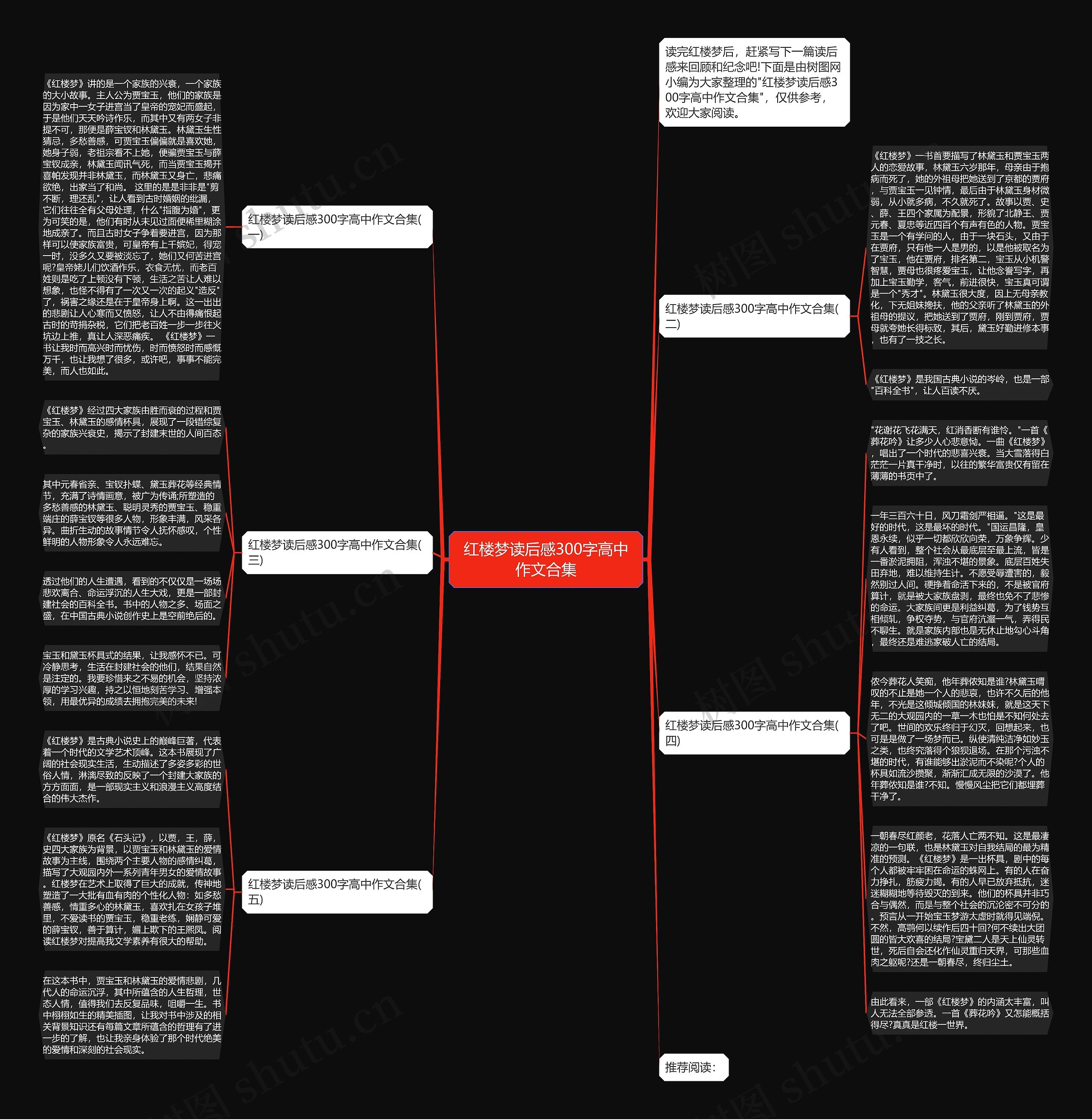 红楼梦读后感300字高中作文合集