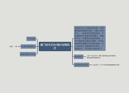 厦门技术支持/维护应聘简历