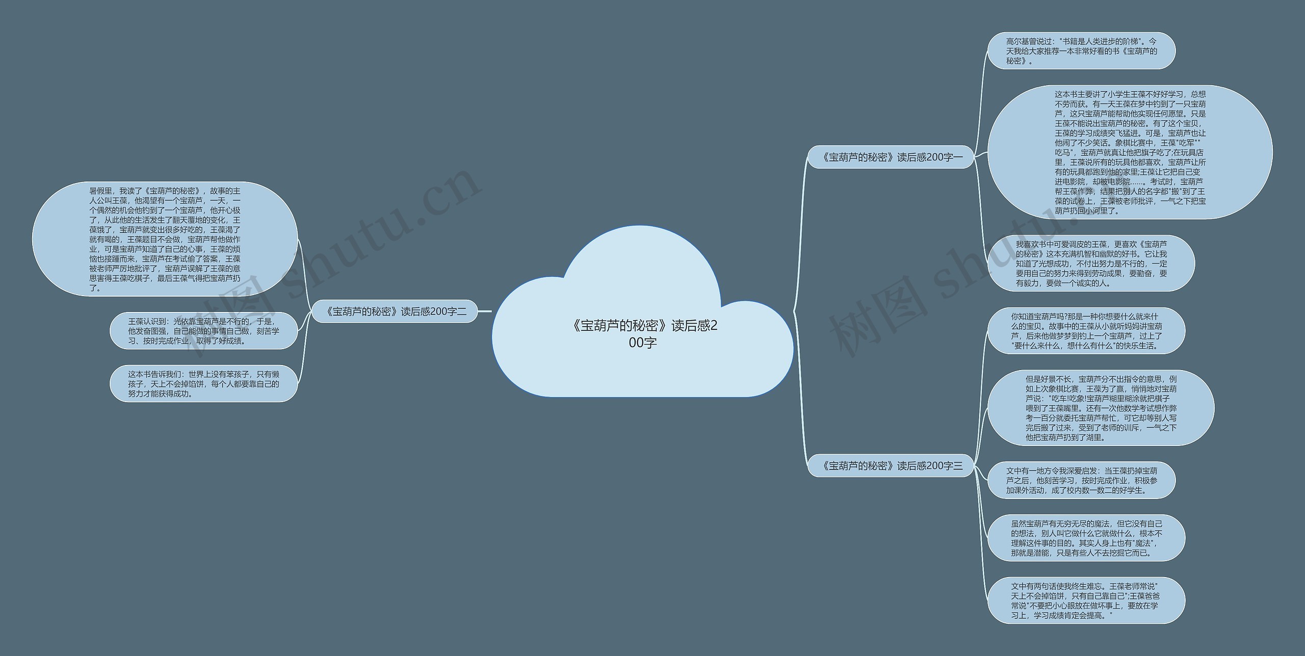 《宝葫芦的秘密》读后感200字思维导图