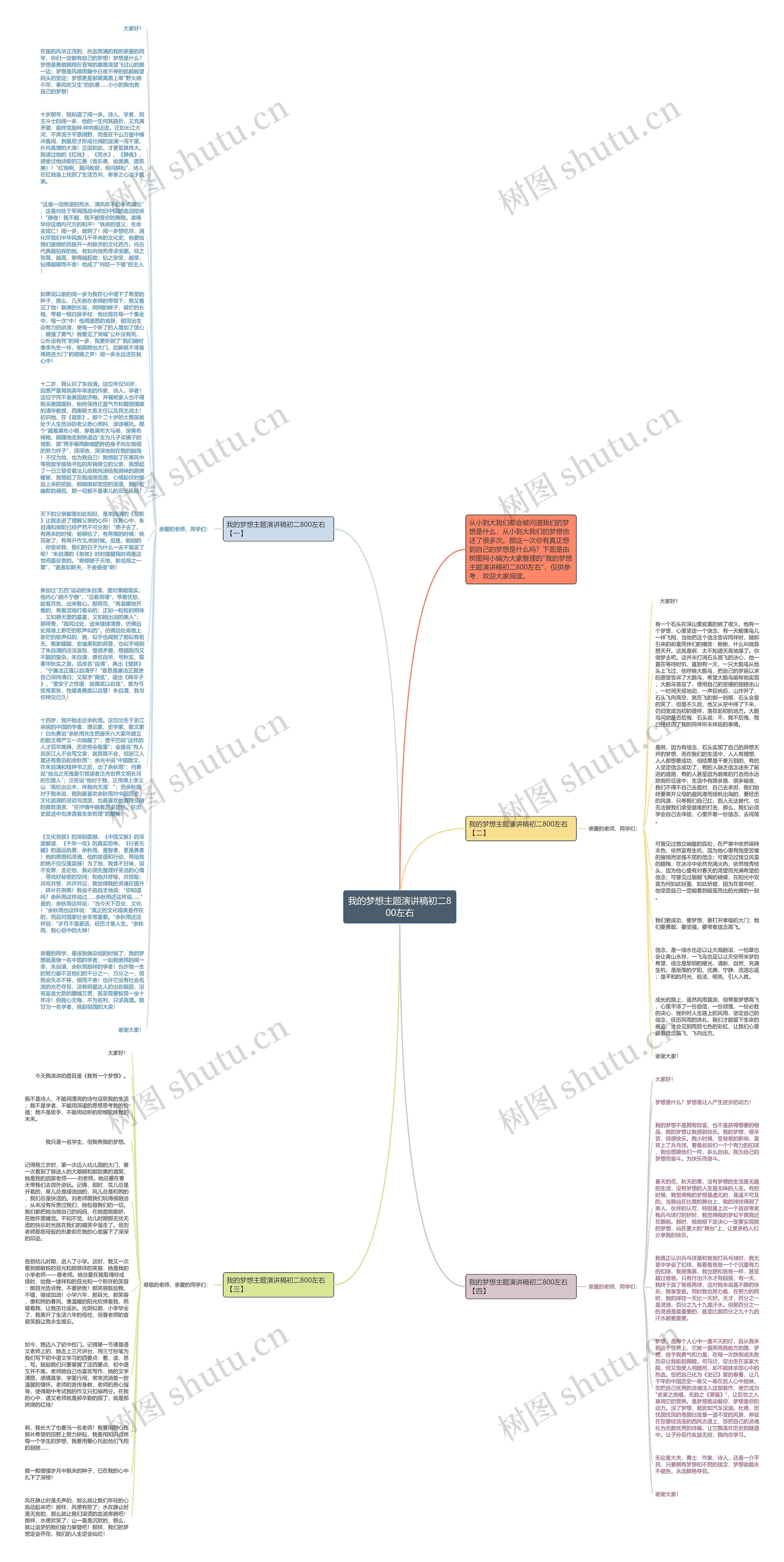 我的梦想主题演讲稿初二800左右思维导图