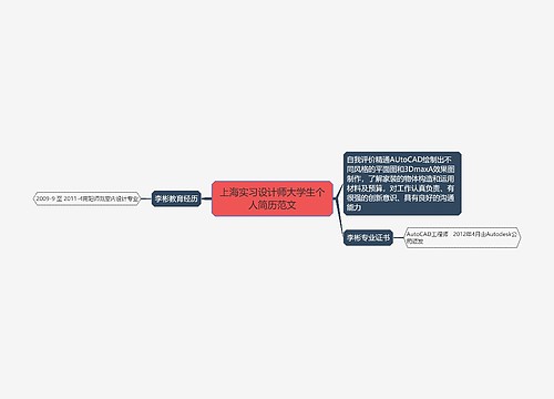 上海实习设计师大学生个人简历范文