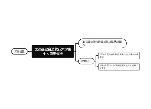 武汉感觉合适就行大学生个人简历模板