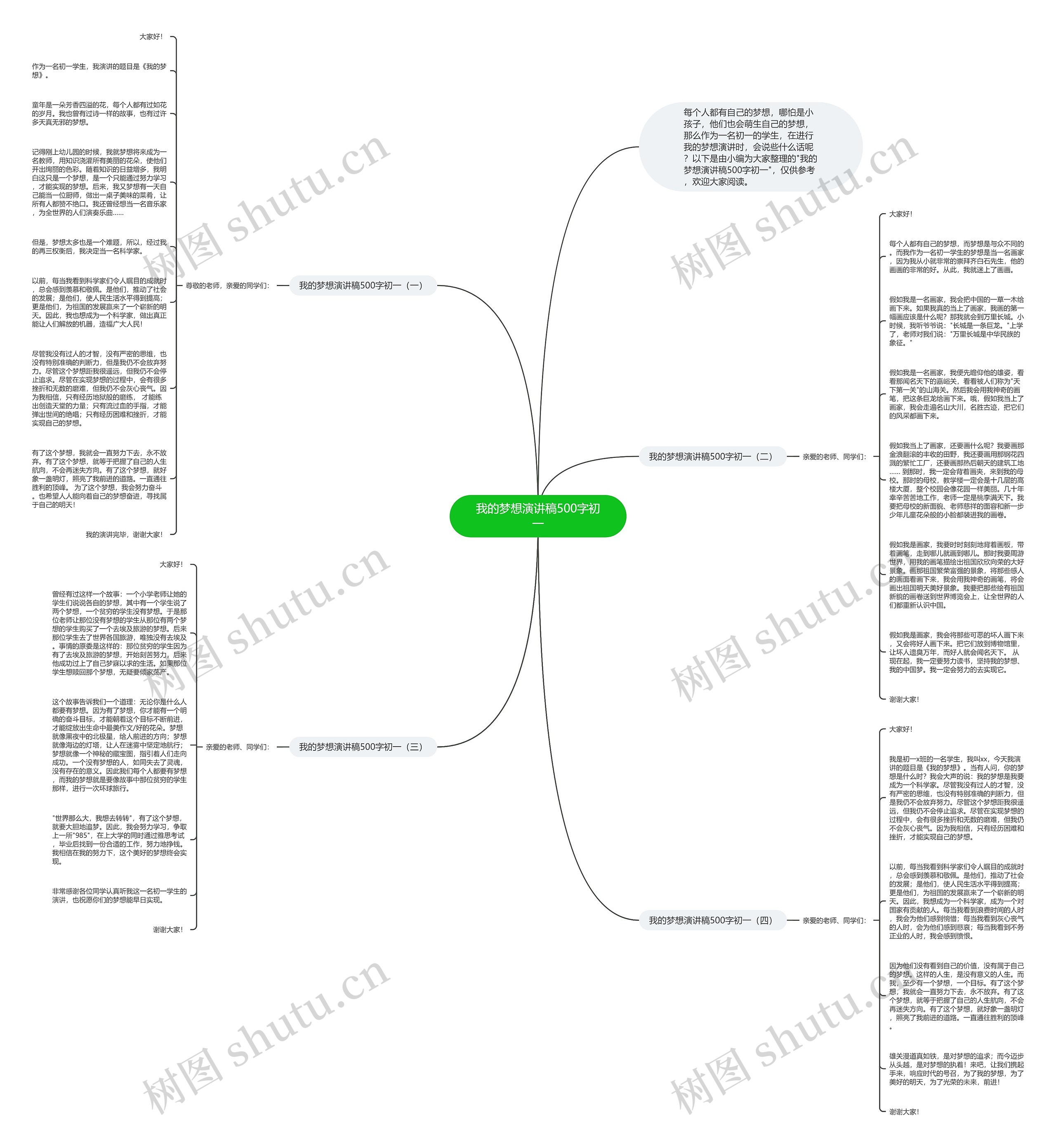 我的梦想演讲稿500字初一思维导图