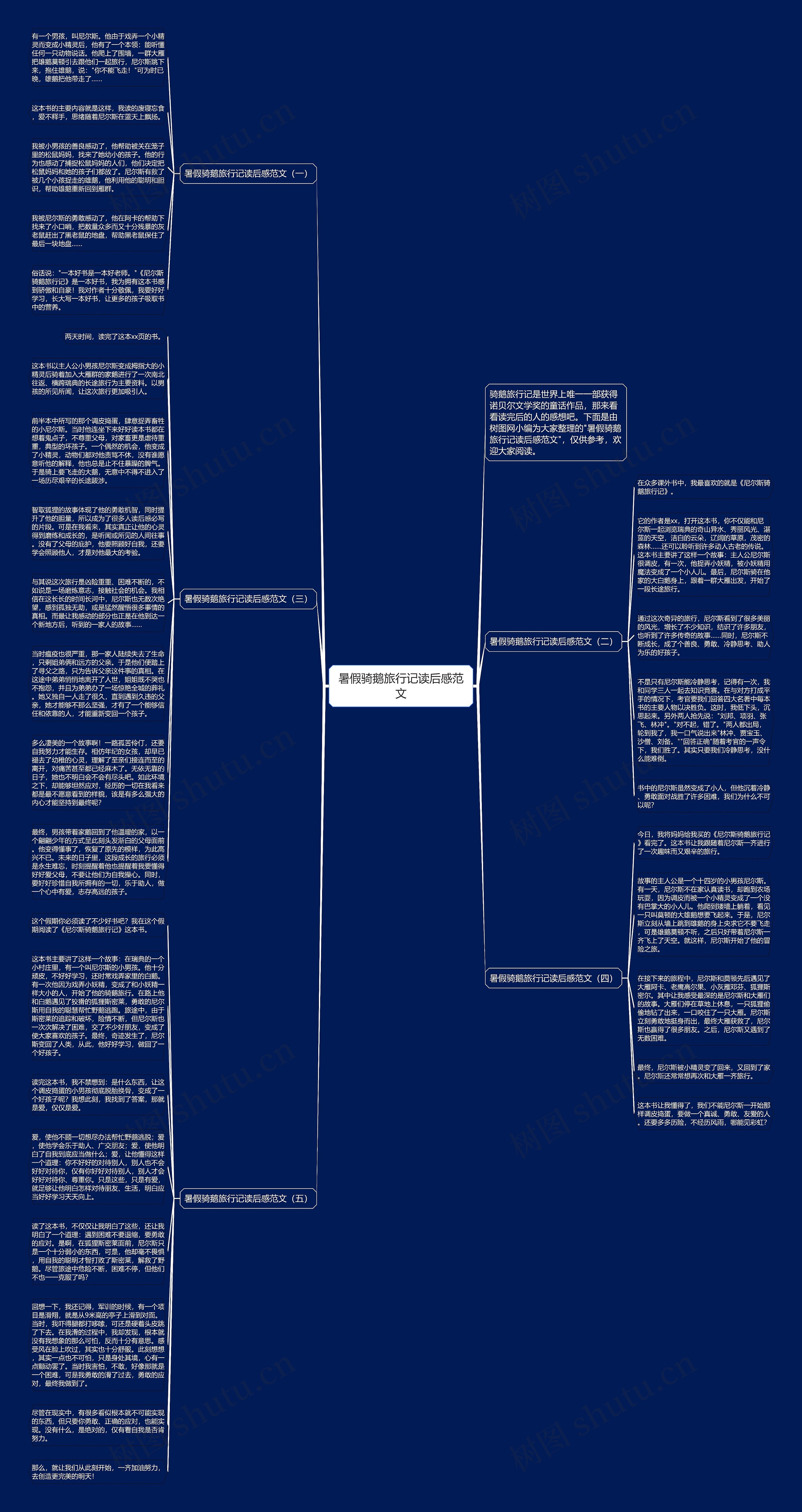 暑假骑鹅旅行记读后感范文思维导图
