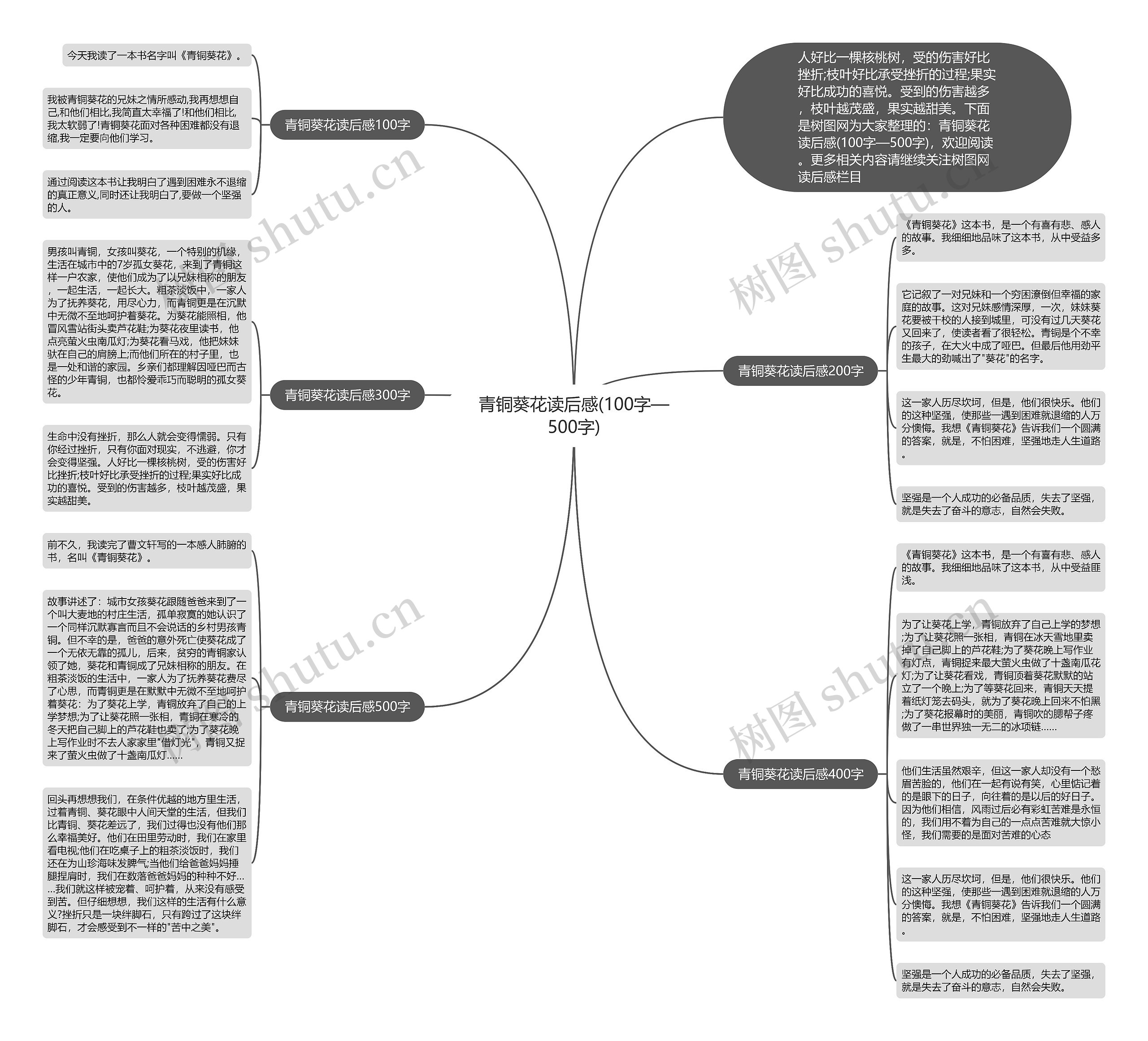 青铜葵花读后感(100字—500字)思维导图