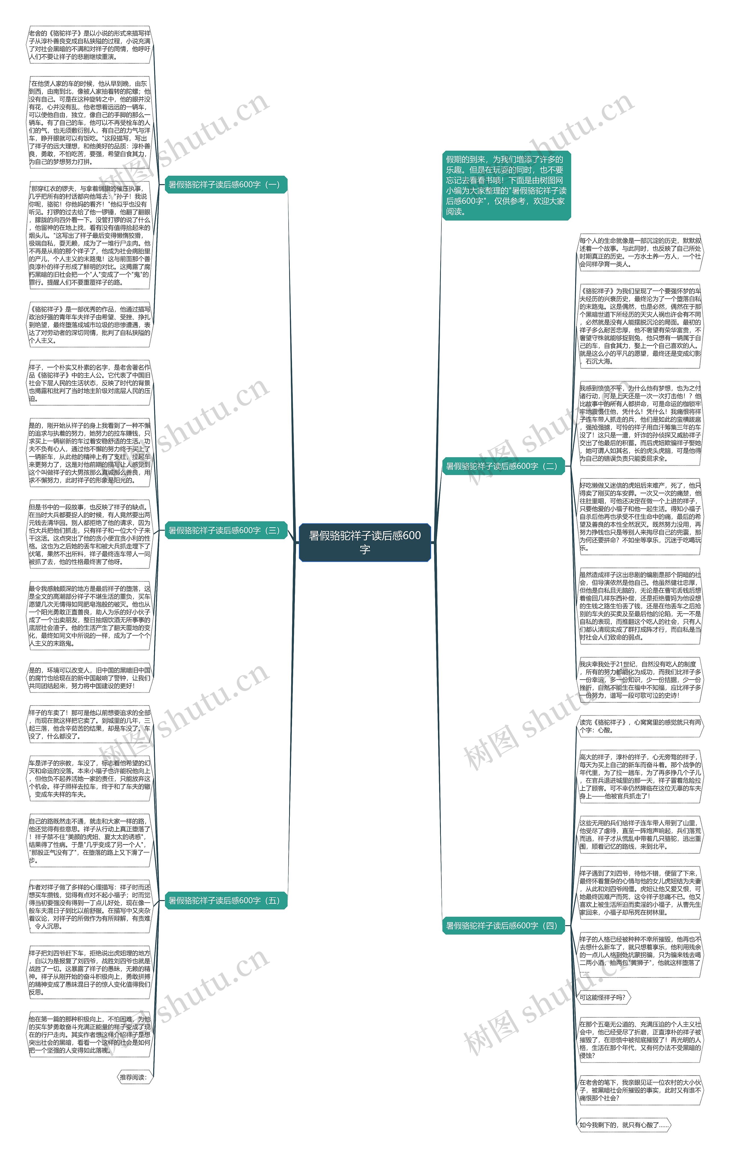 暑假骆驼祥子读后感600字思维导图