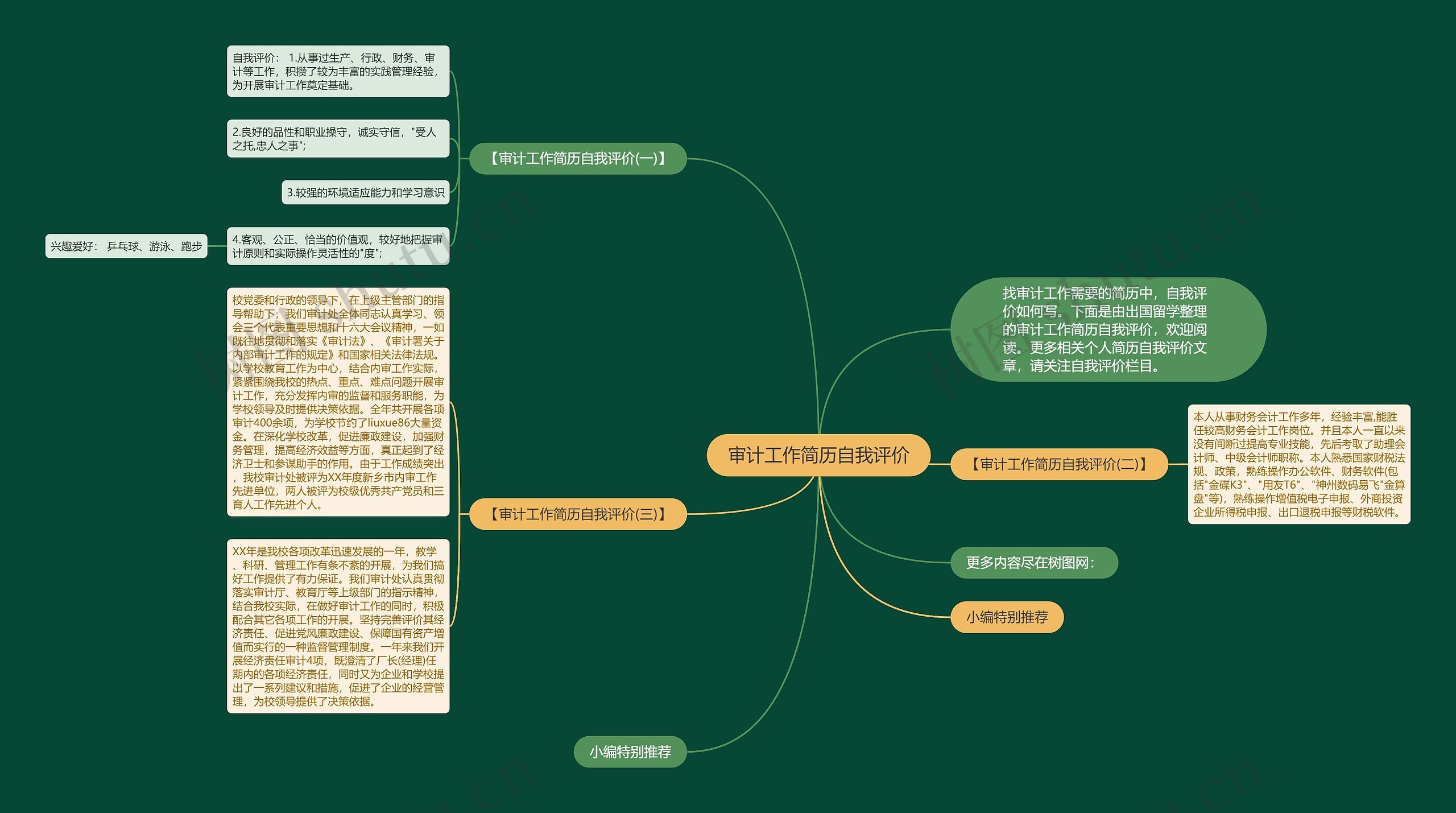 审计工作简历自我评价思维导图