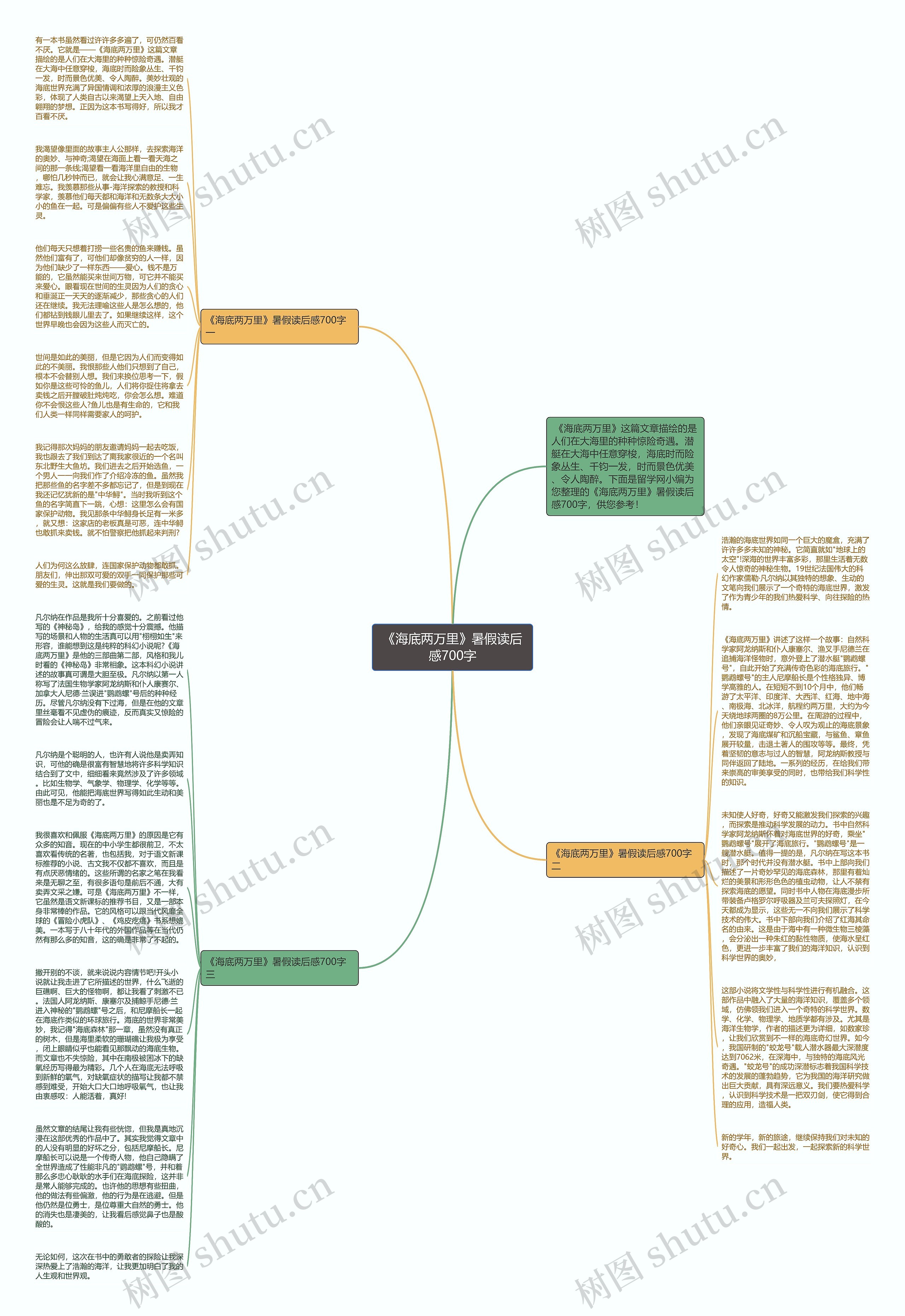 《海底两万里》暑假读后感700字思维导图