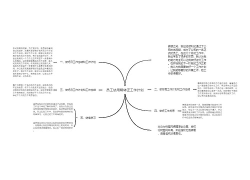 员工试用期转正工作计划