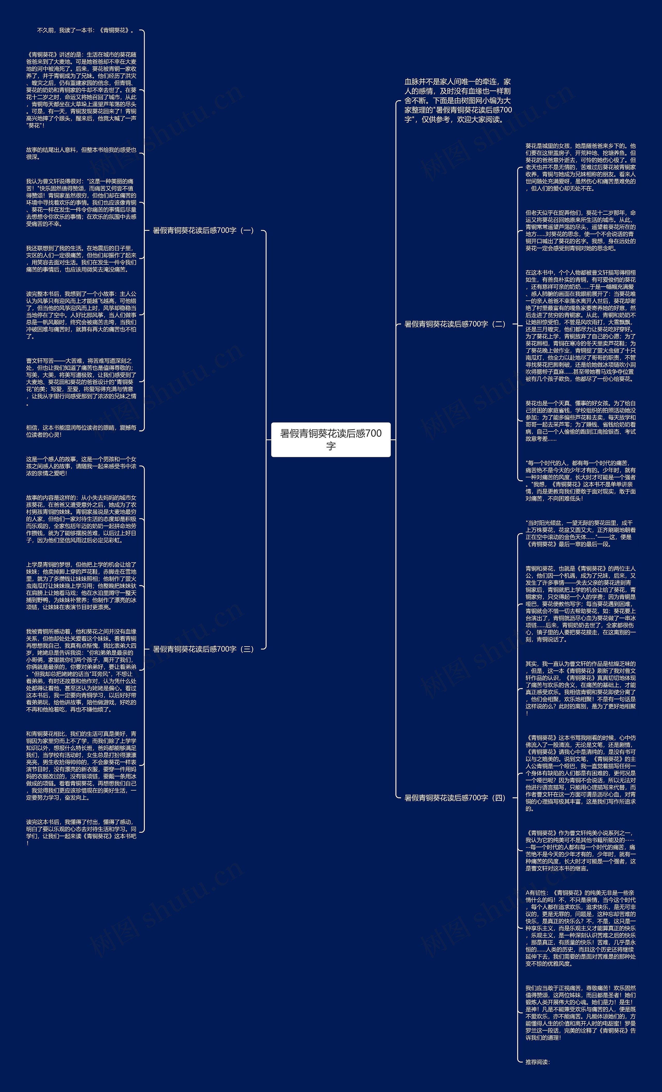 暑假青铜葵花读后感700字思维导图