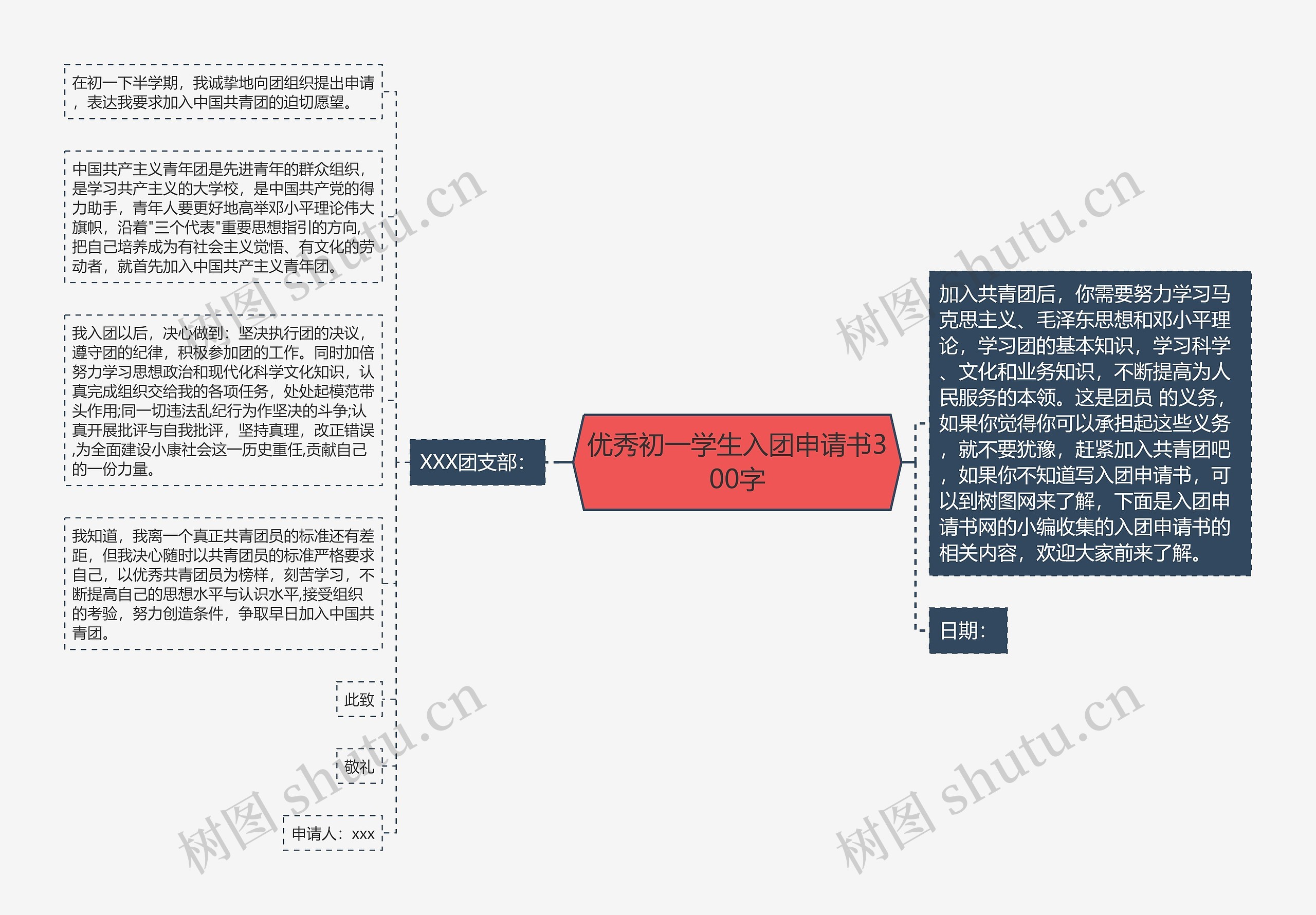 优秀初一学生入团申请书300字