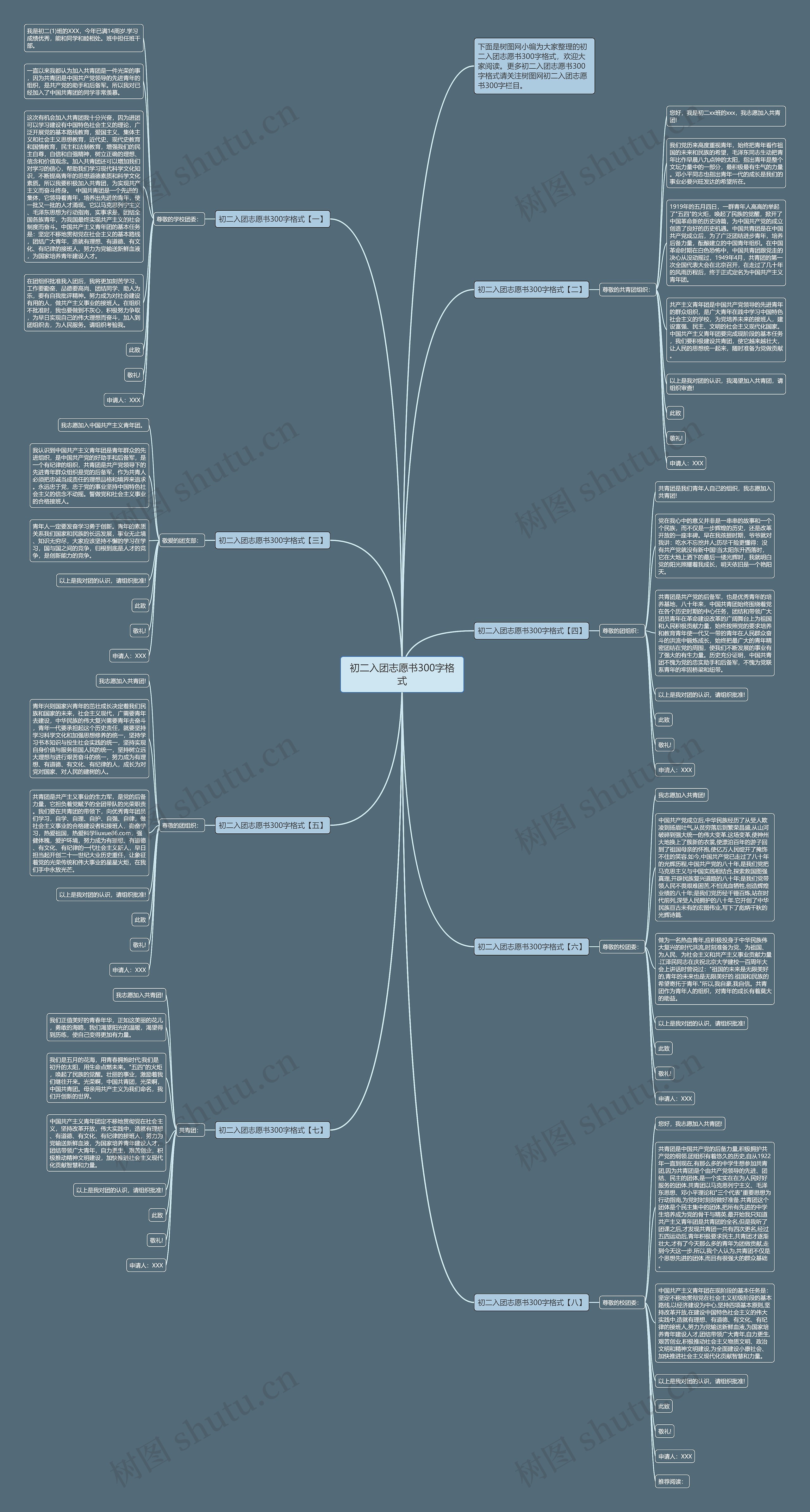 初二入团志愿书300字格式思维导图