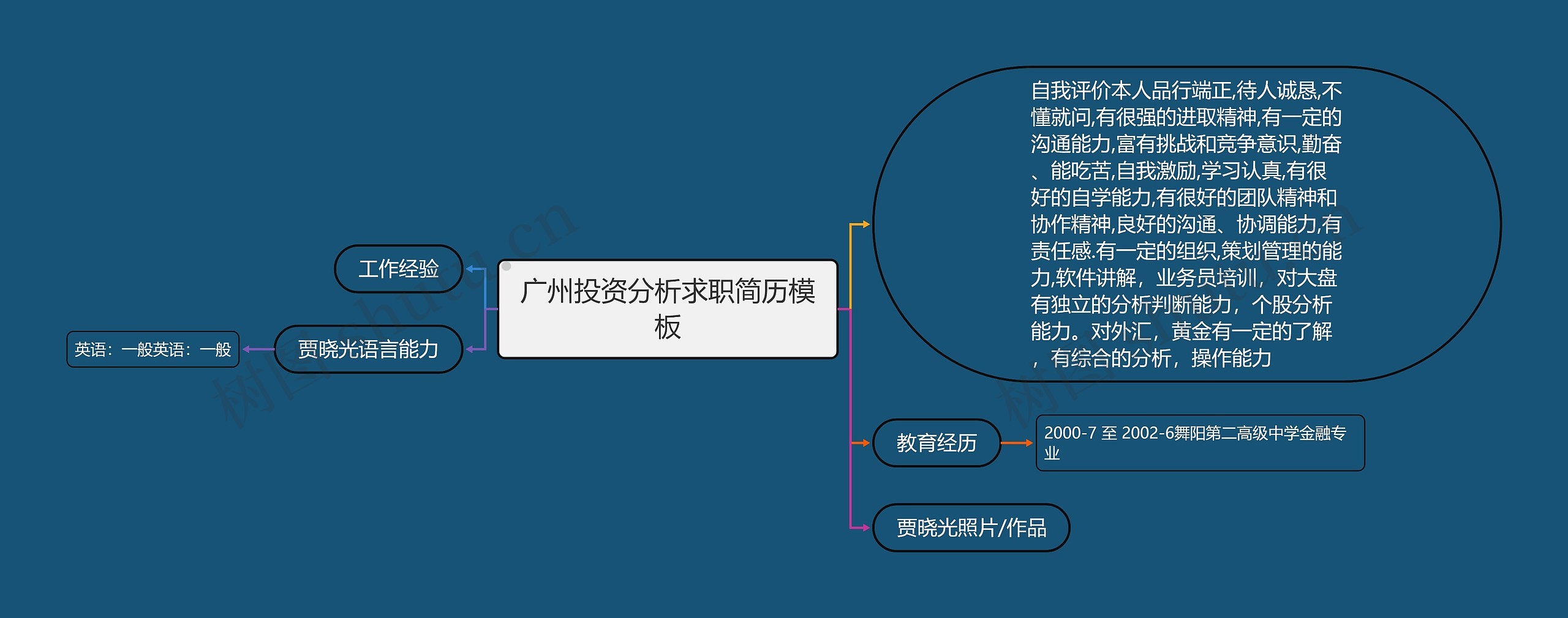 广州投资分析求职简历思维导图