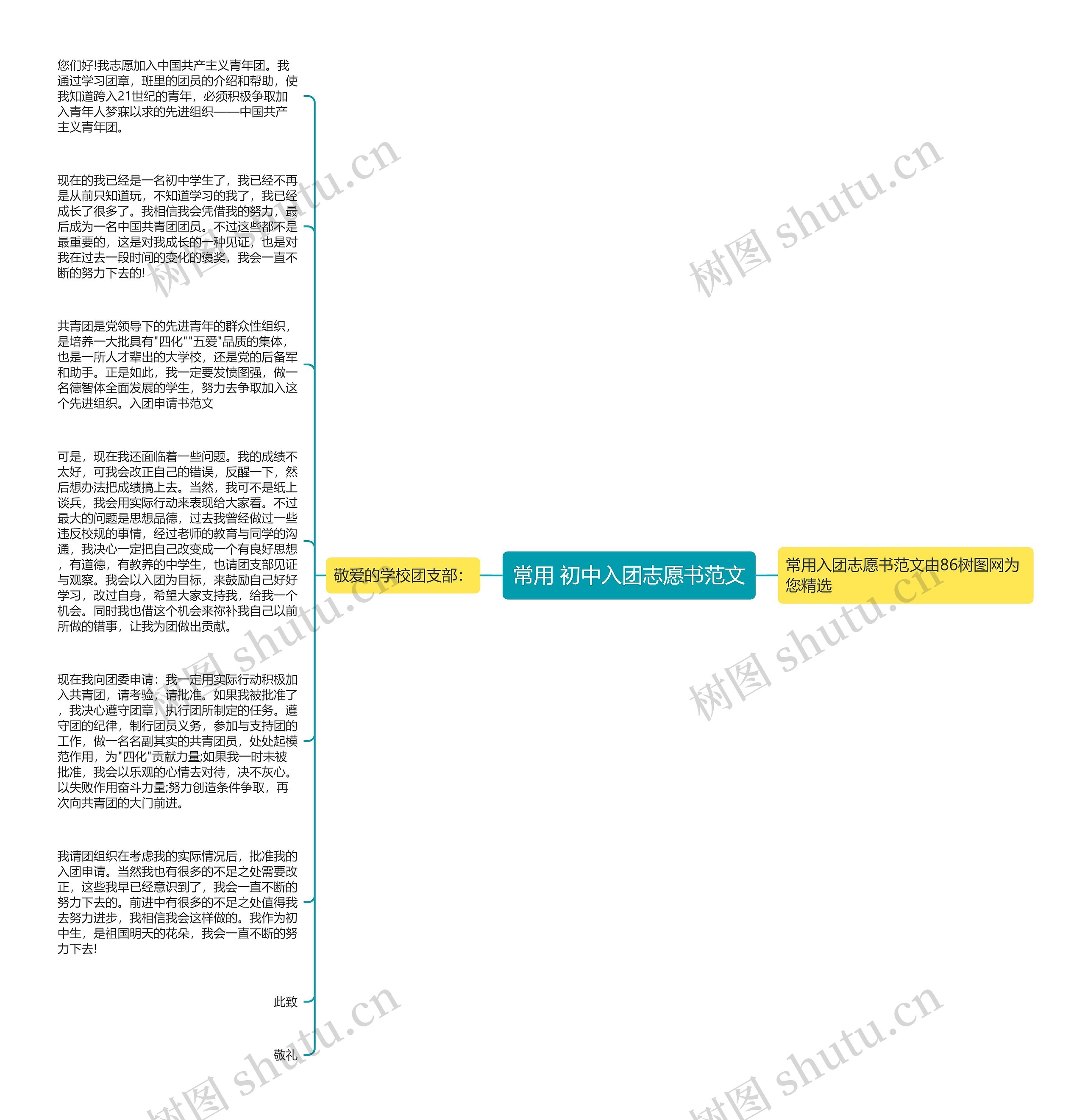 常用 初中入团志愿书范文