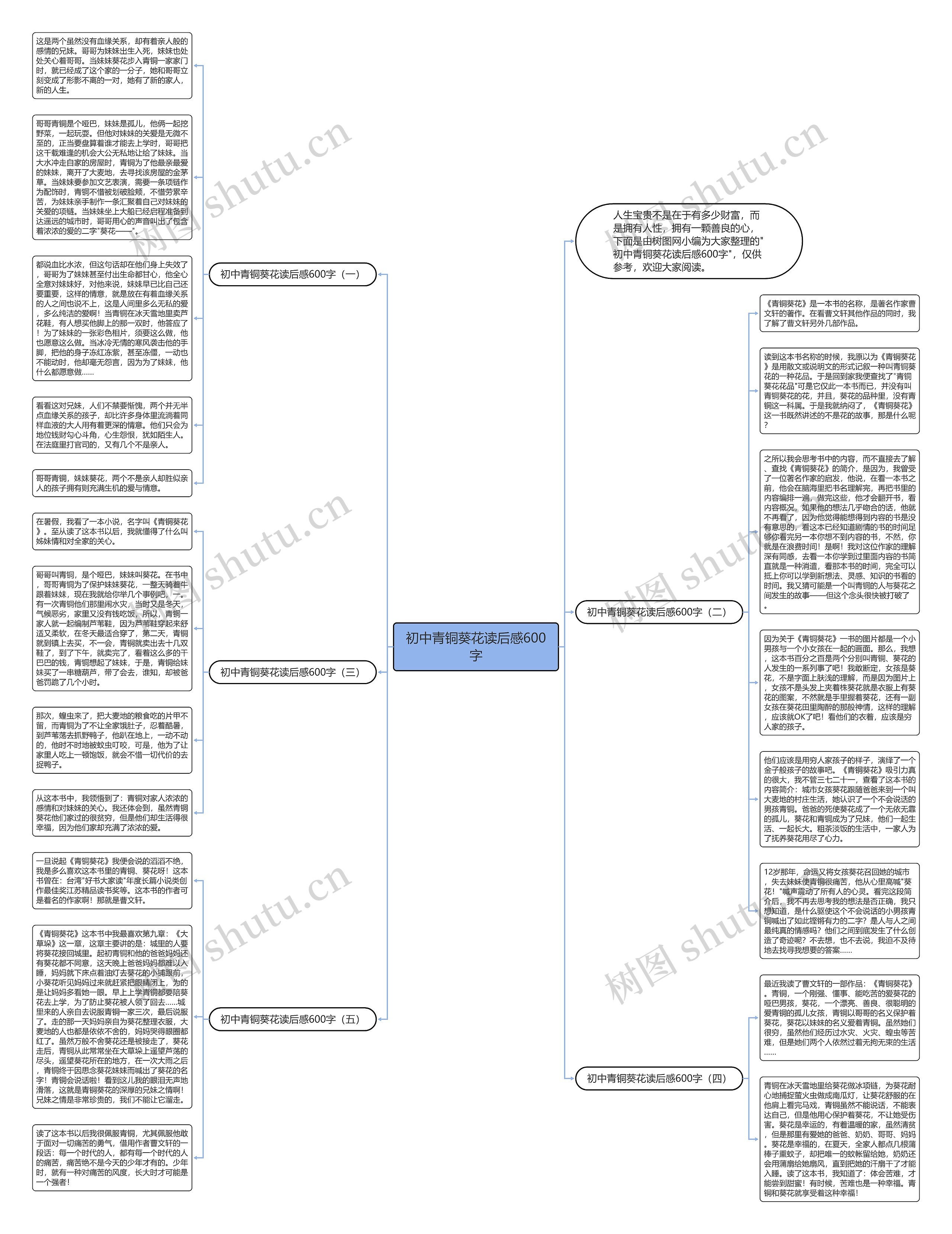 初中青铜葵花读后感600字思维导图