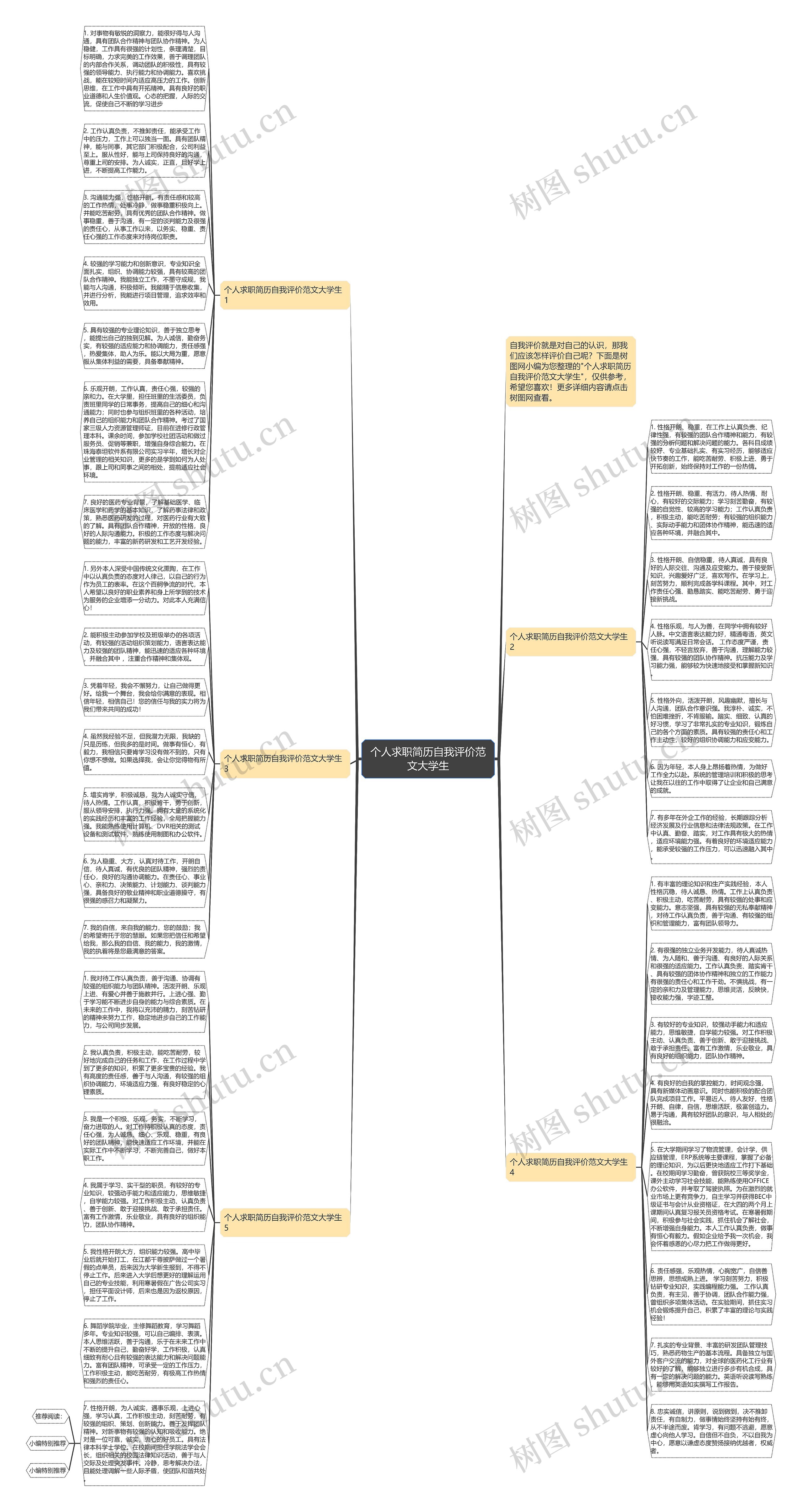 个人求职简历自我评价范文大学生思维导图