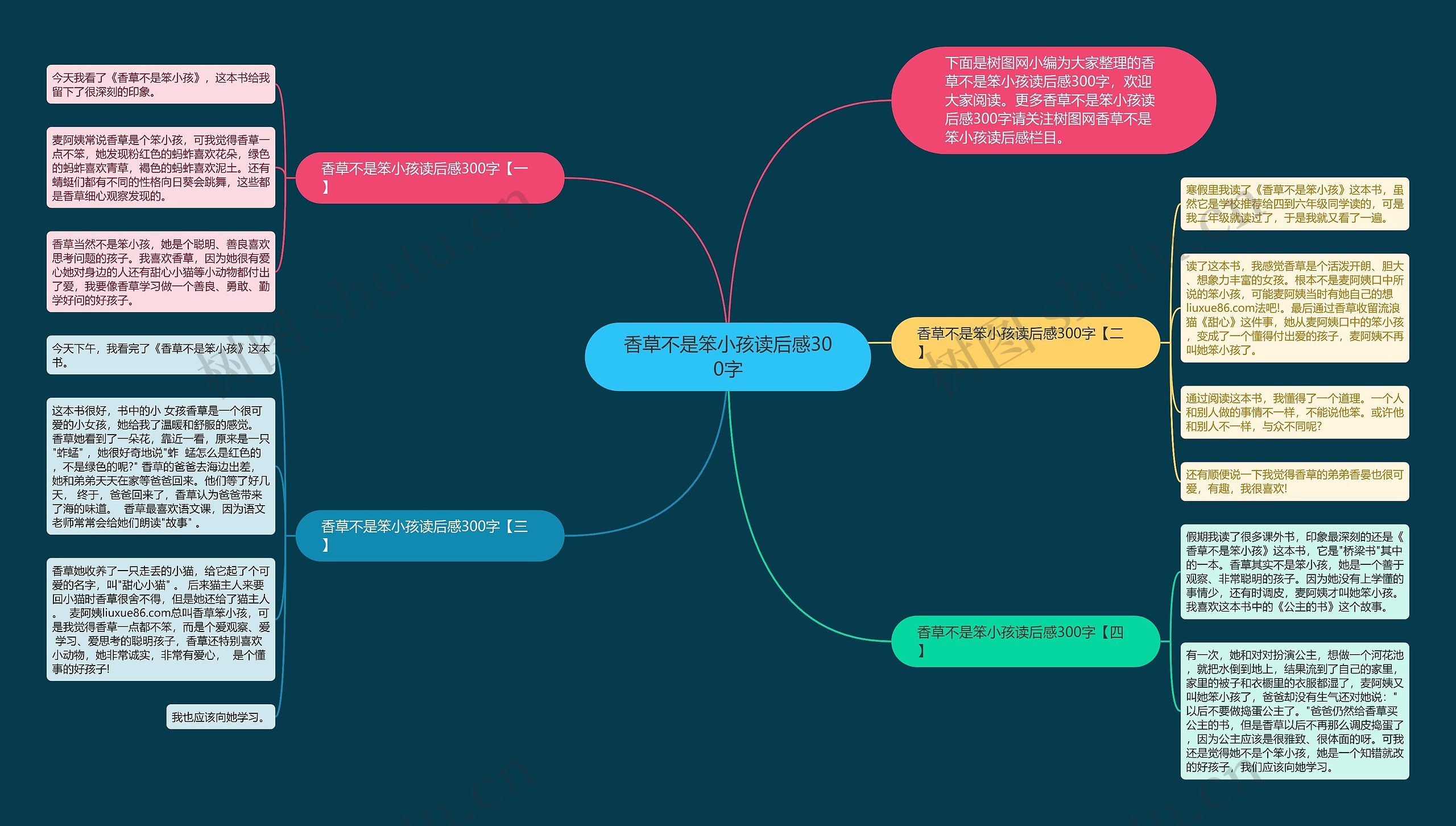 香草不是笨小孩读后感300字思维导图