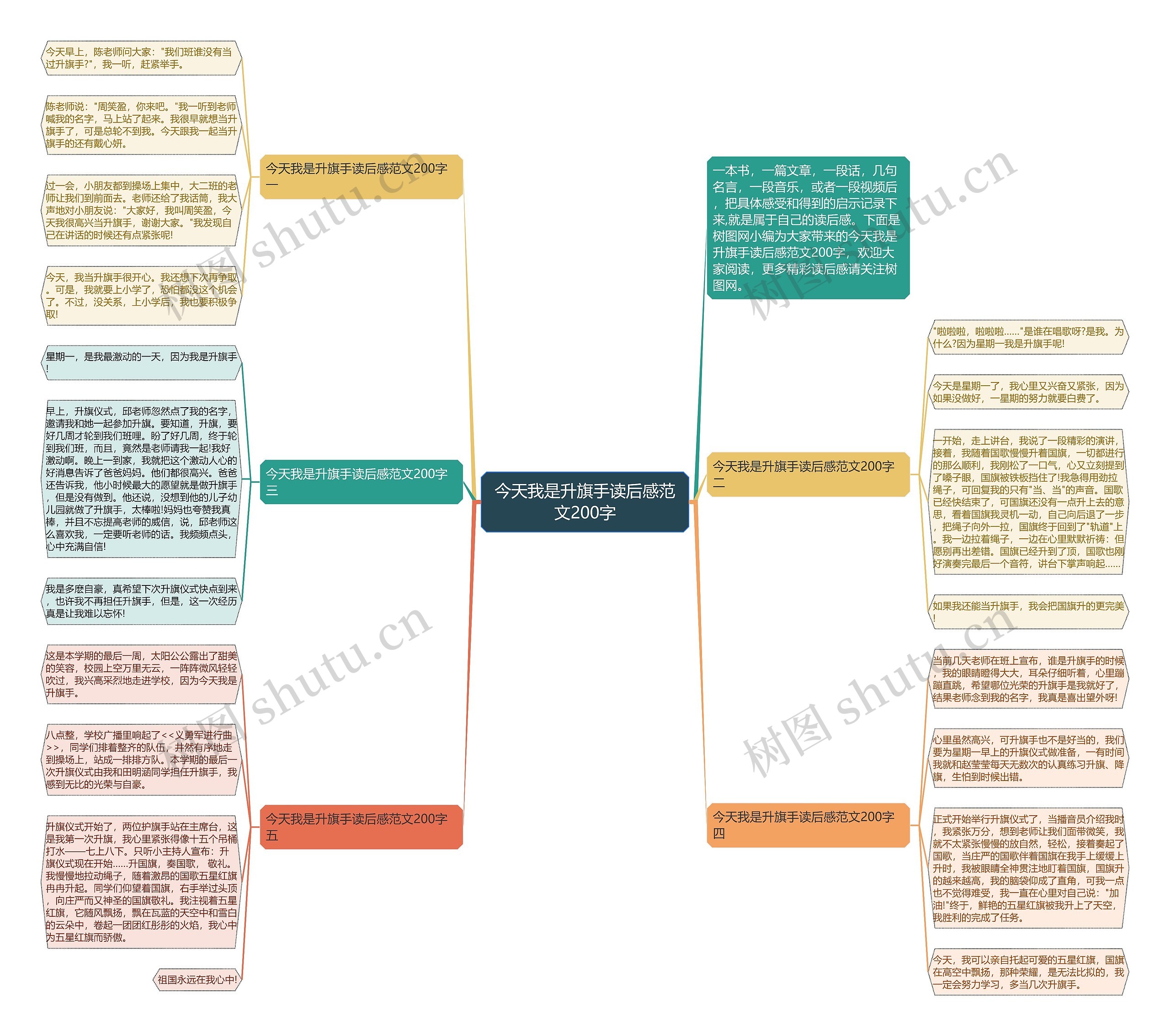 今天我是升旗手读后感范文200字思维导图