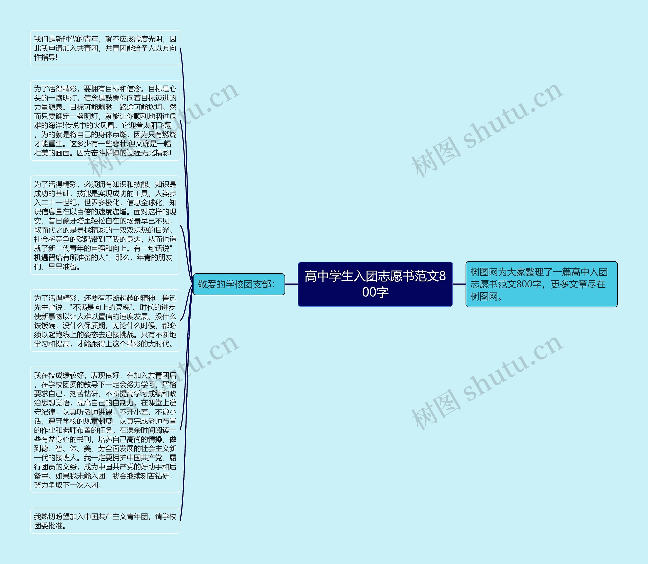 高中学生入团志愿书范文800字