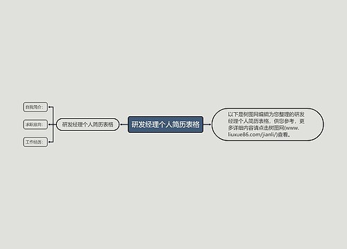 研发经理个人简历表格