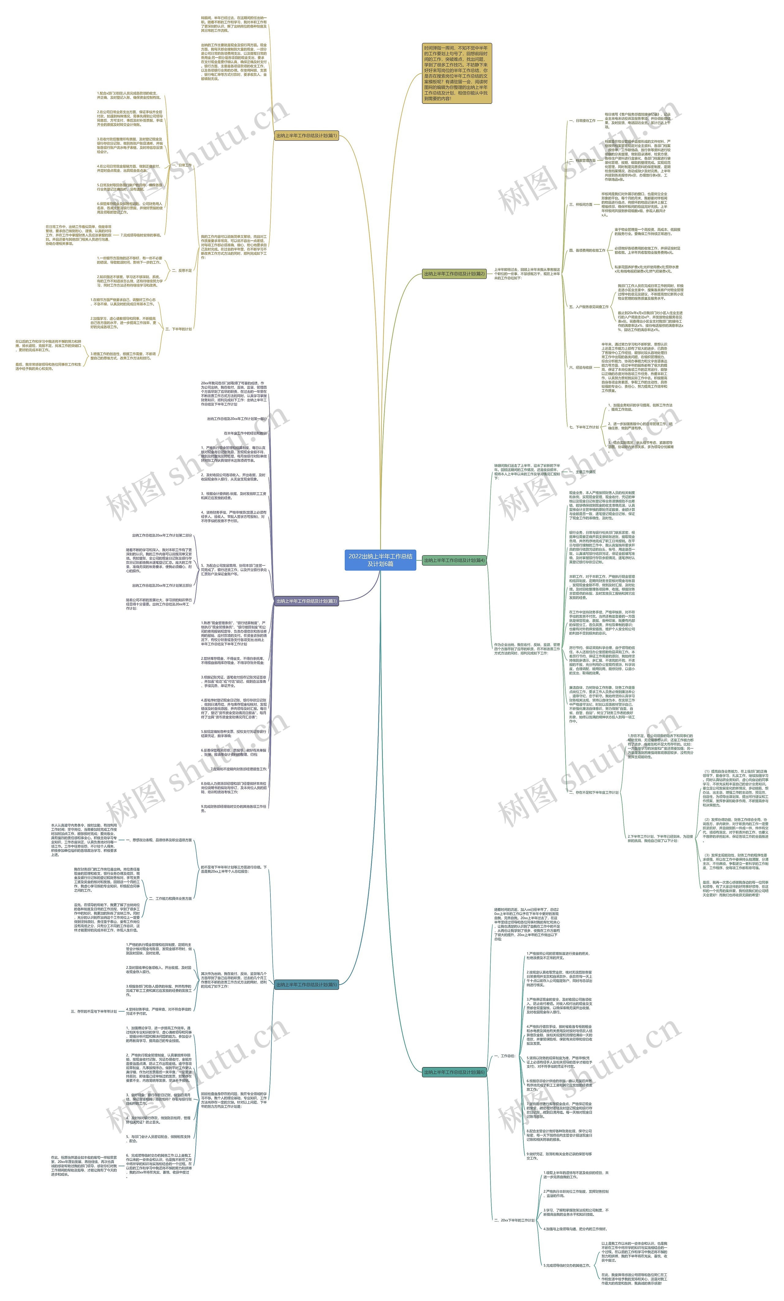 2022出纳上半年工作总结及计划6篇思维导图