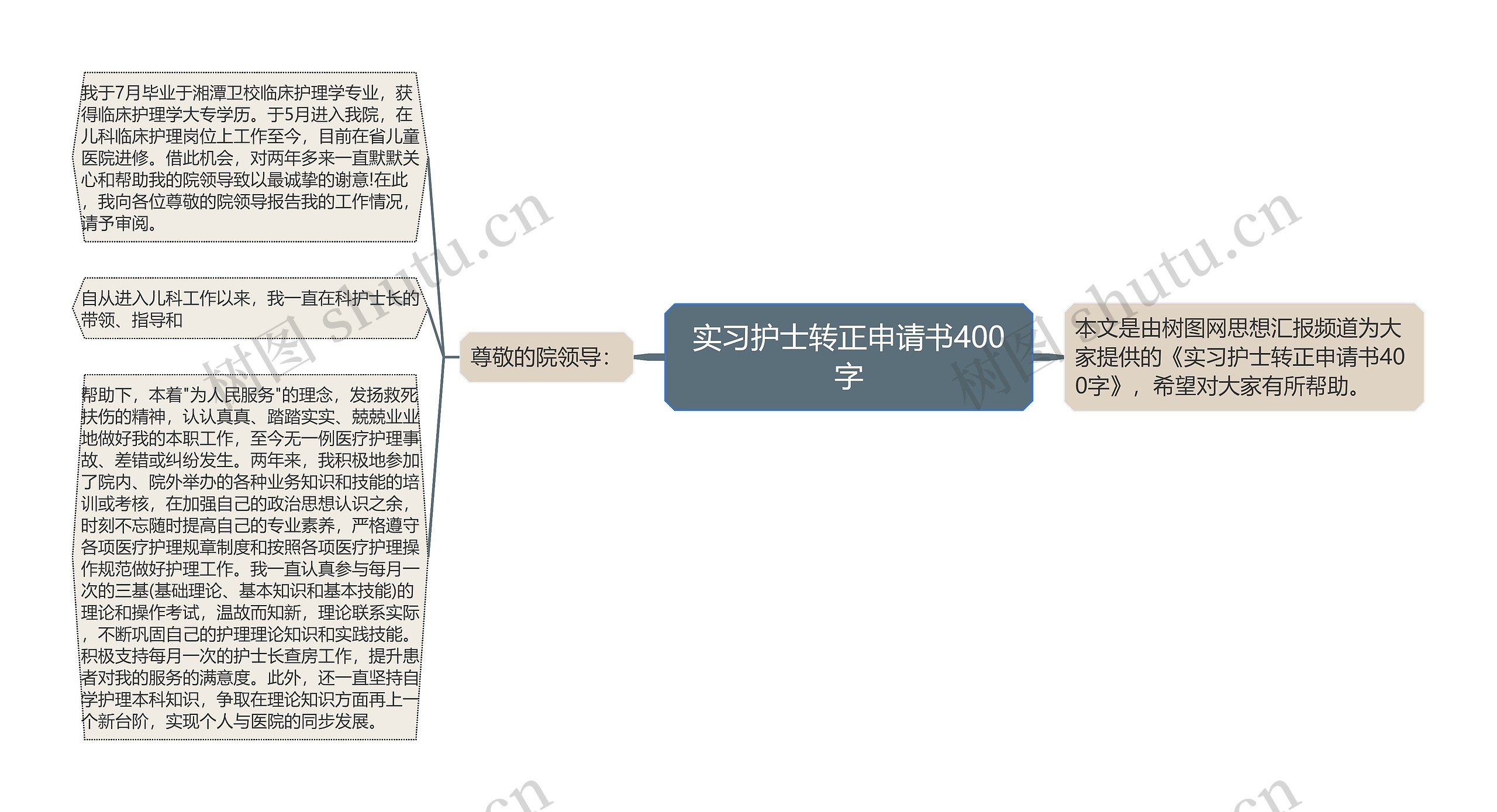 实习护士转正申请书400字思维导图