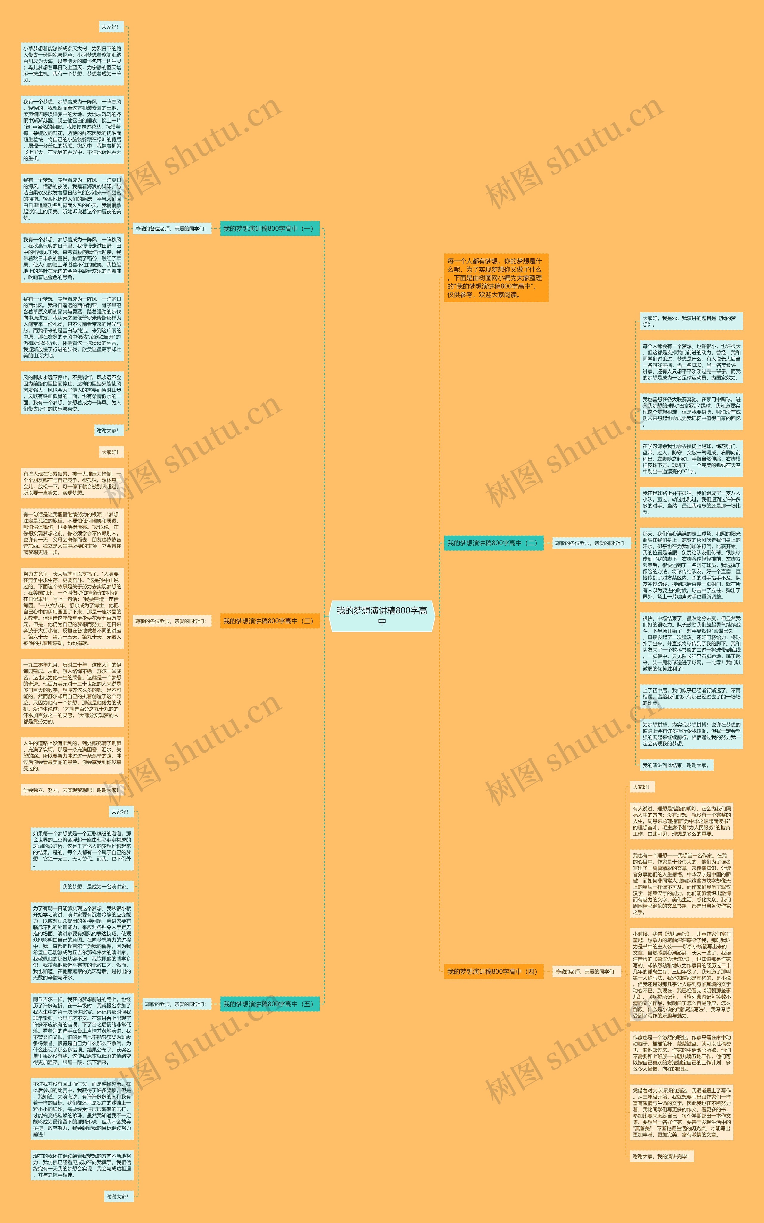 我的梦想演讲稿800字高中思维导图