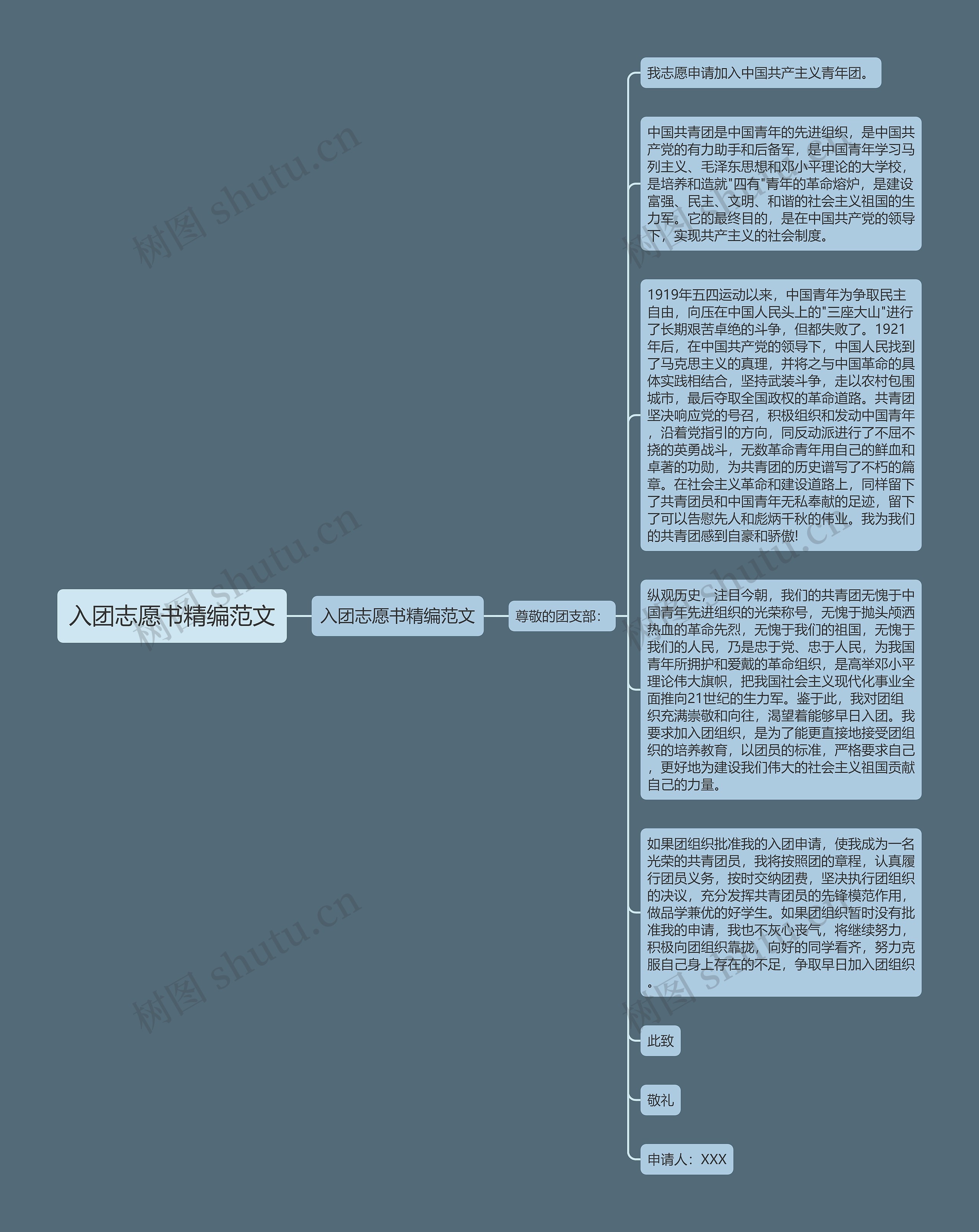入团志愿书精编范文
