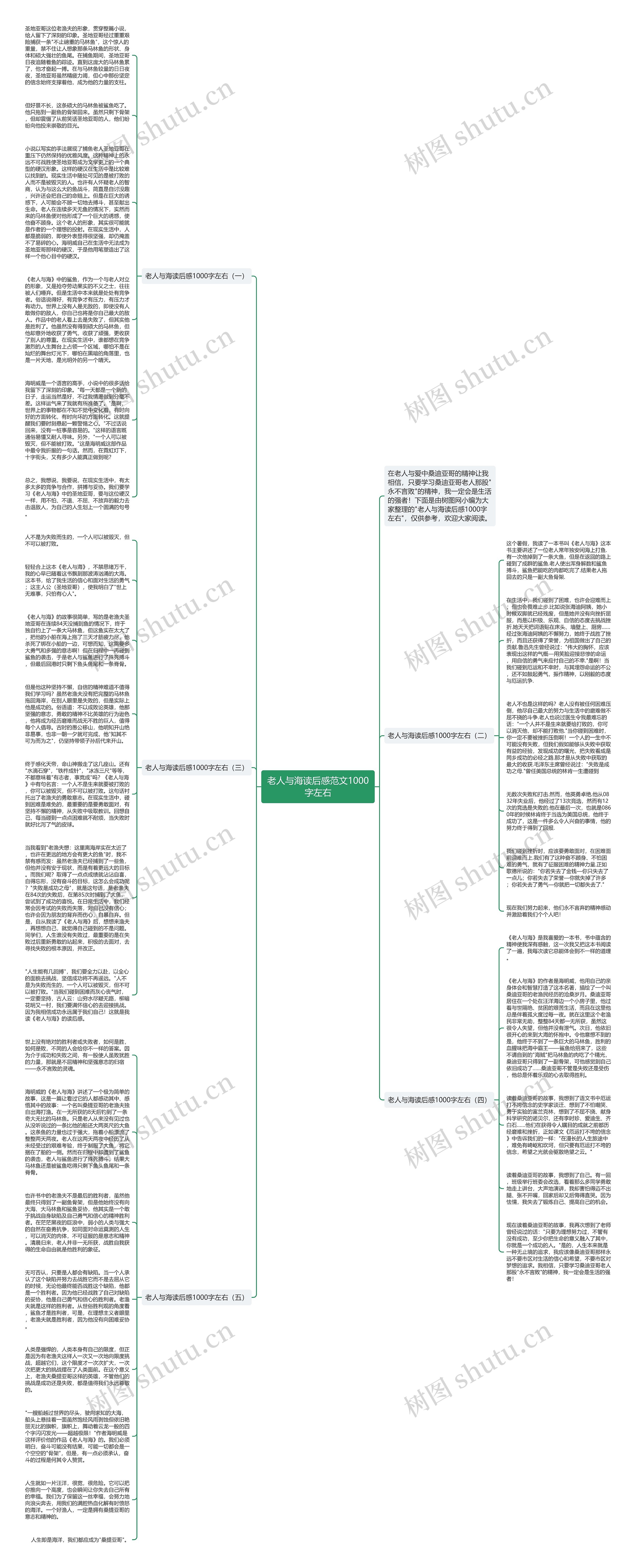老人与海读后感范文1000字左右思维导图