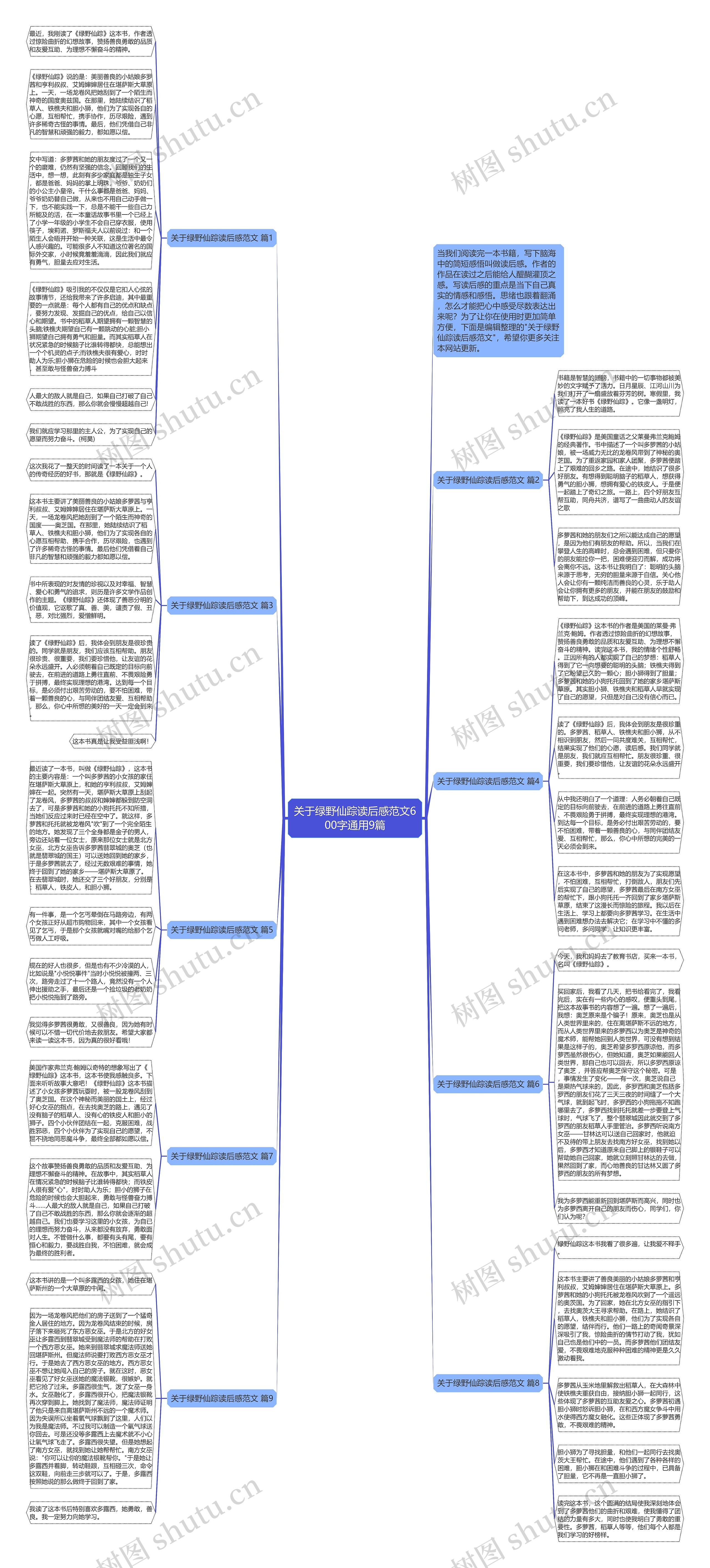 关于绿野仙踪读后感范文600字通用9篇思维导图