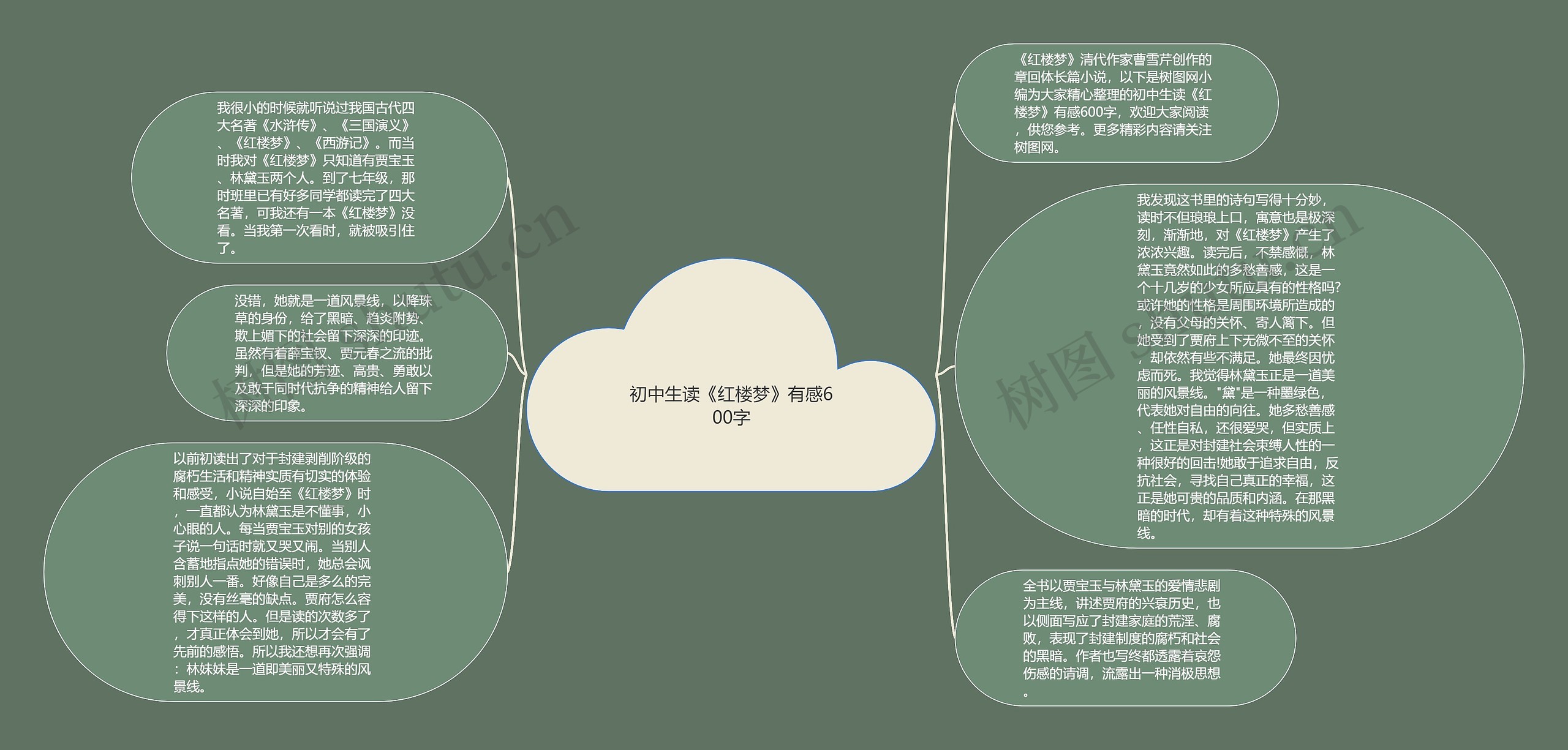 初中生读《红楼梦》有感600字