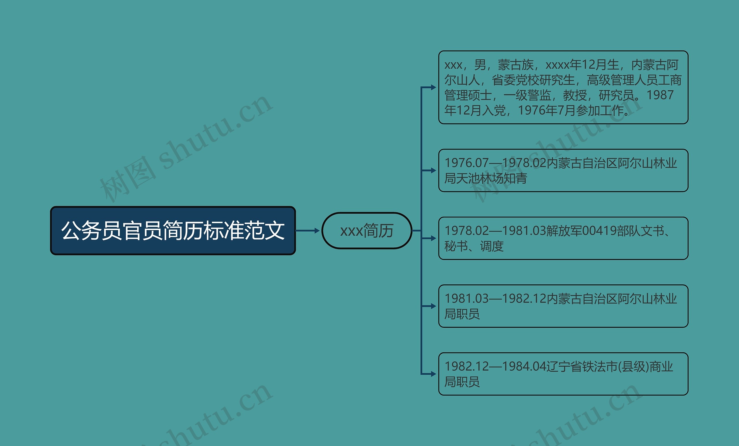 公务员官员简历标准范文