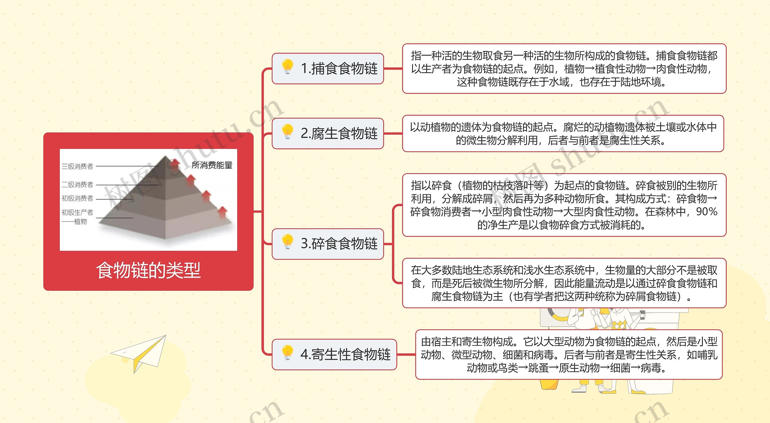 食物链的类型