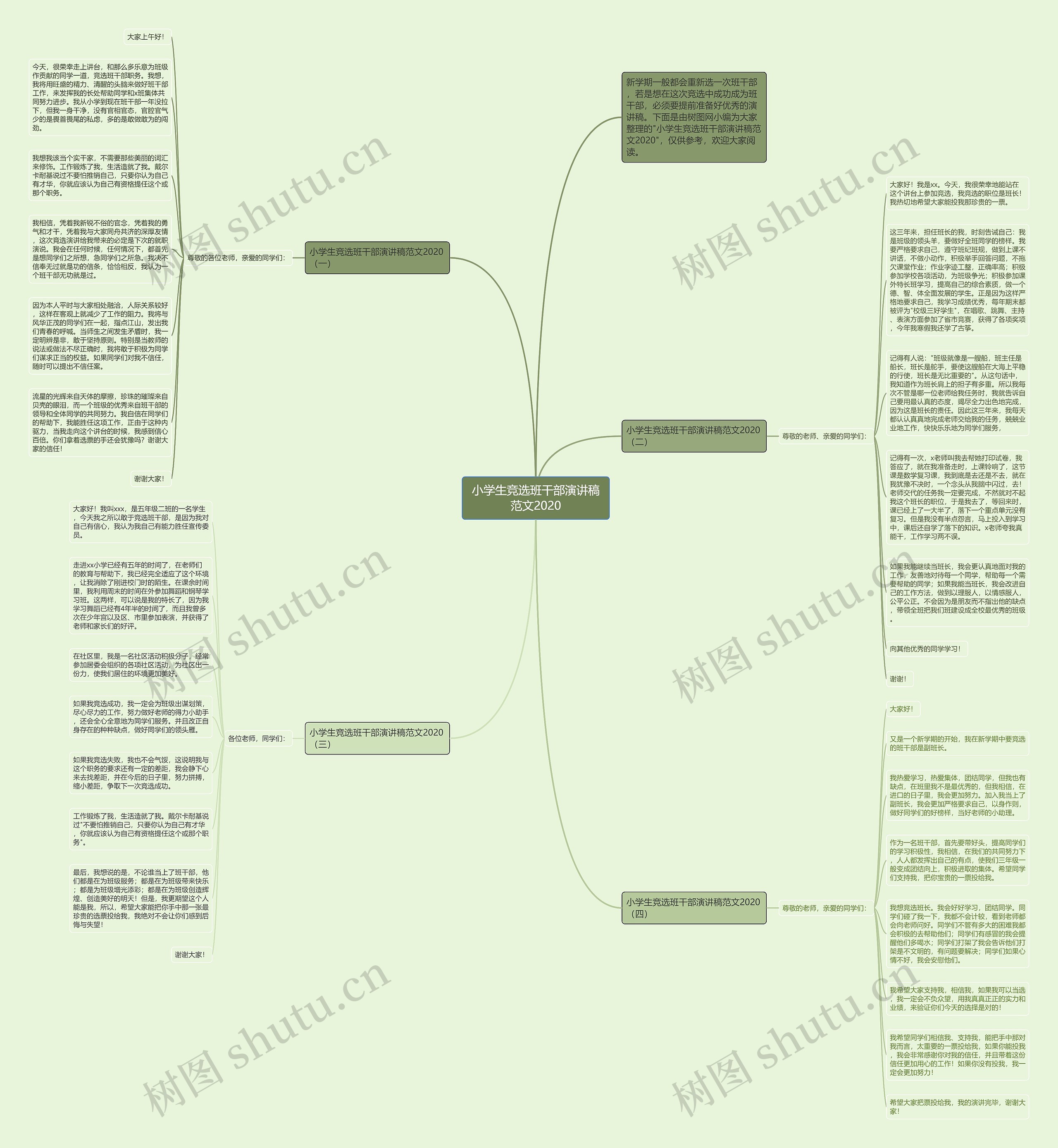 小学生竞选班干部演讲稿范文2020思维导图