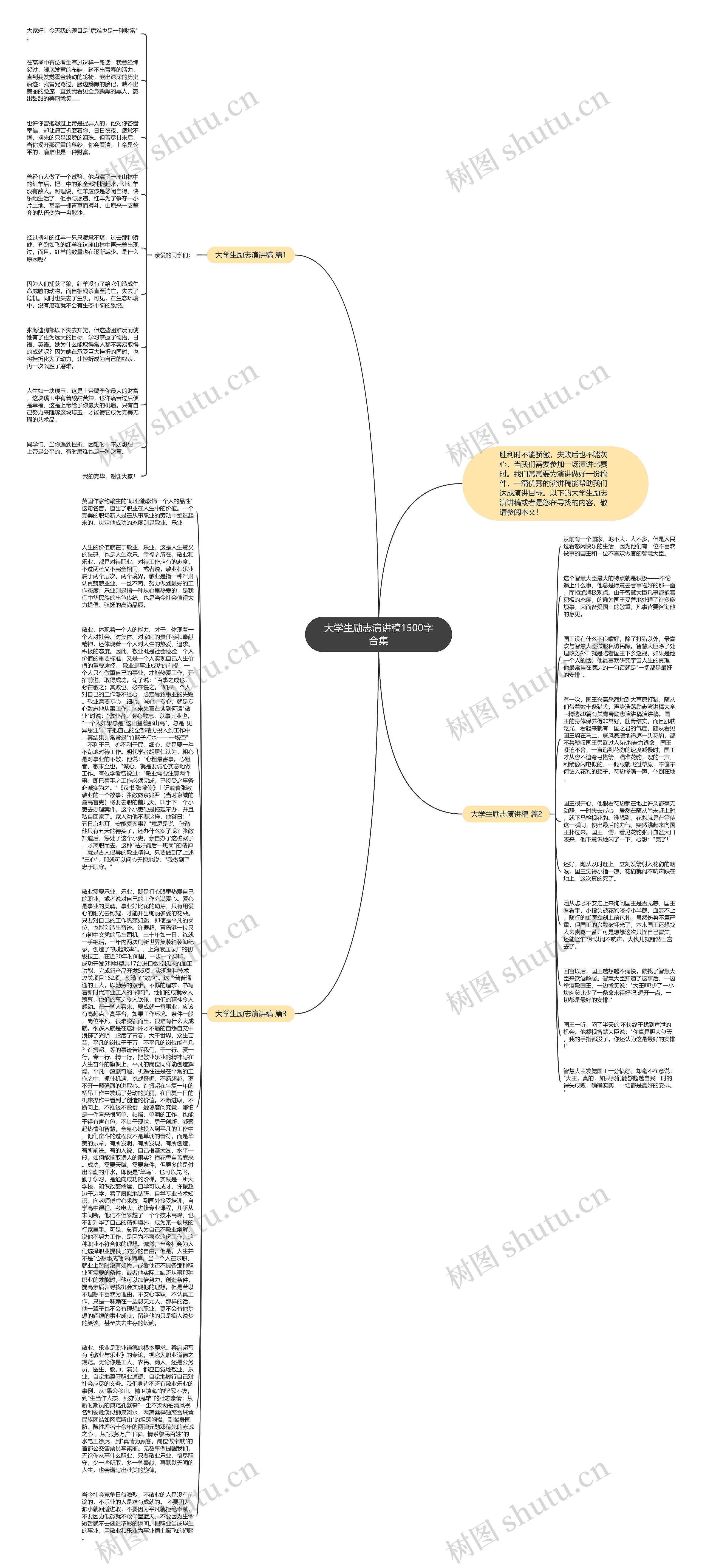 大学生励志演讲稿1500字合集思维导图
