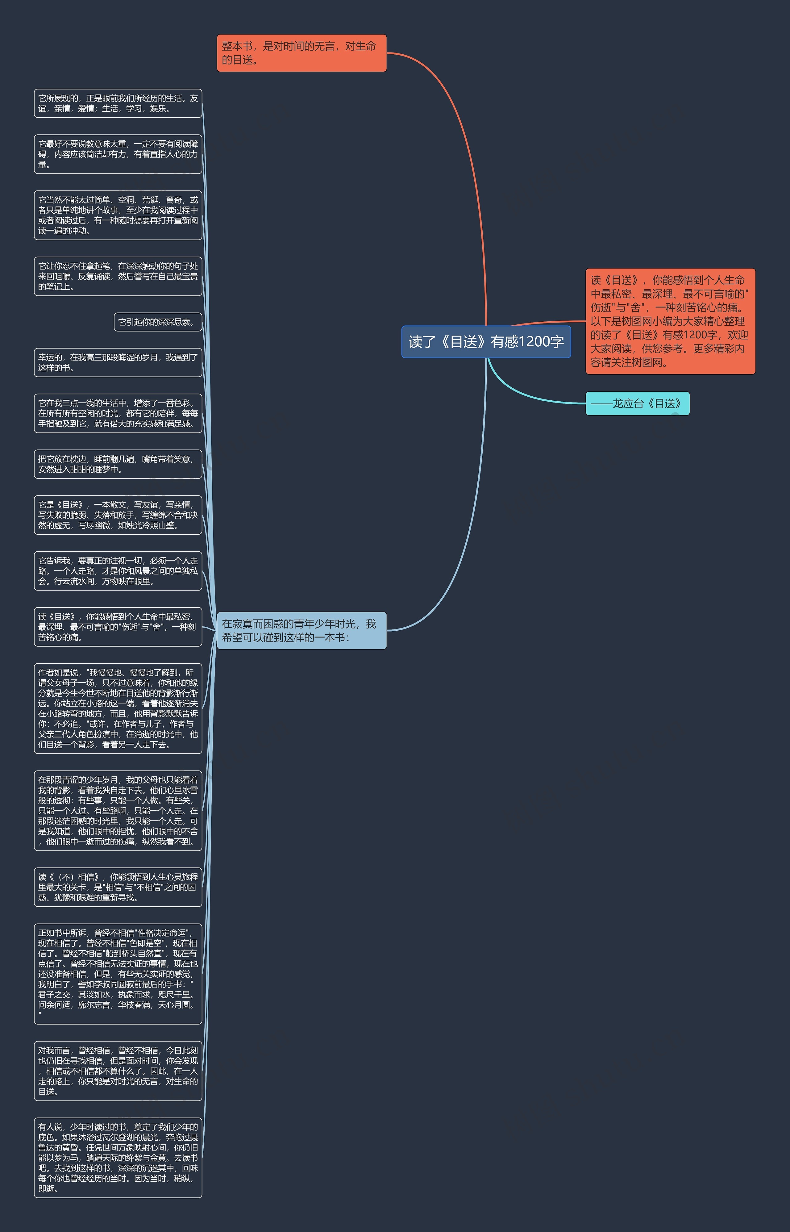 读了《目送》有感1200字思维导图