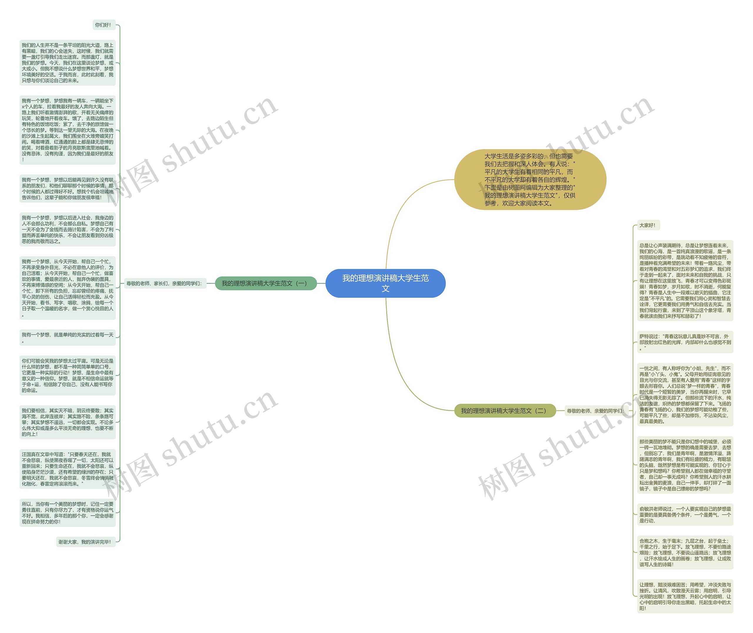 我的理想演讲稿大学生范文思维导图