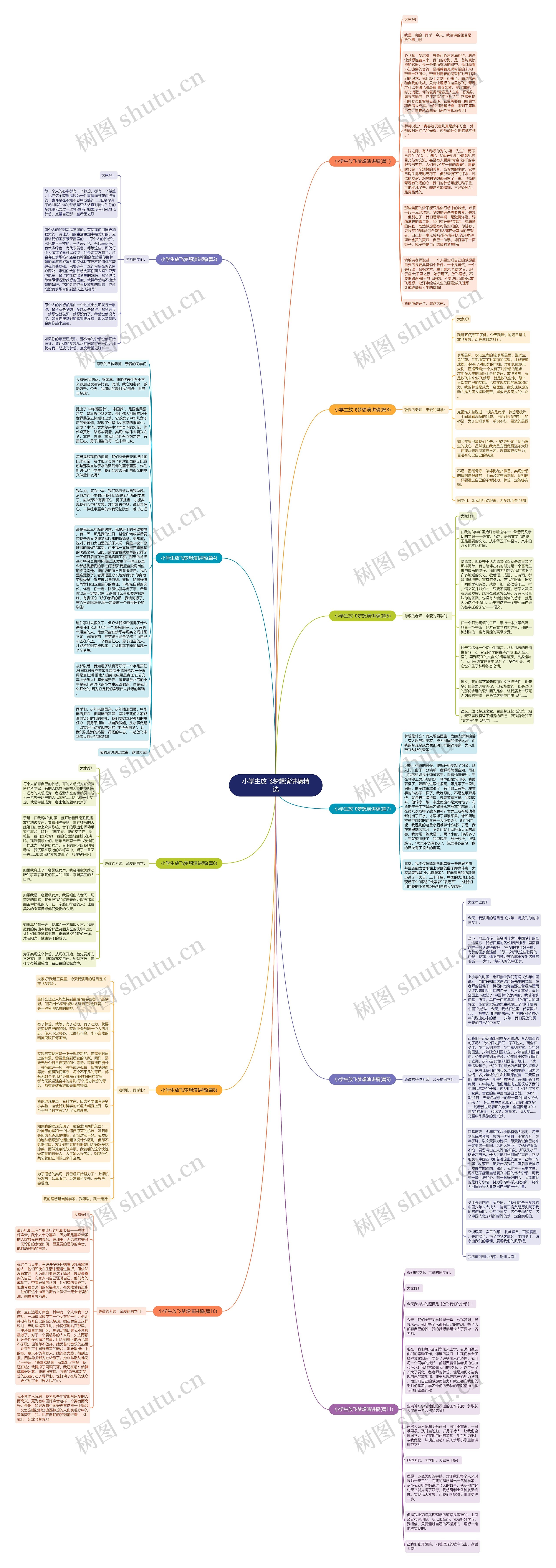 小学生放飞梦想演讲稿精选思维导图