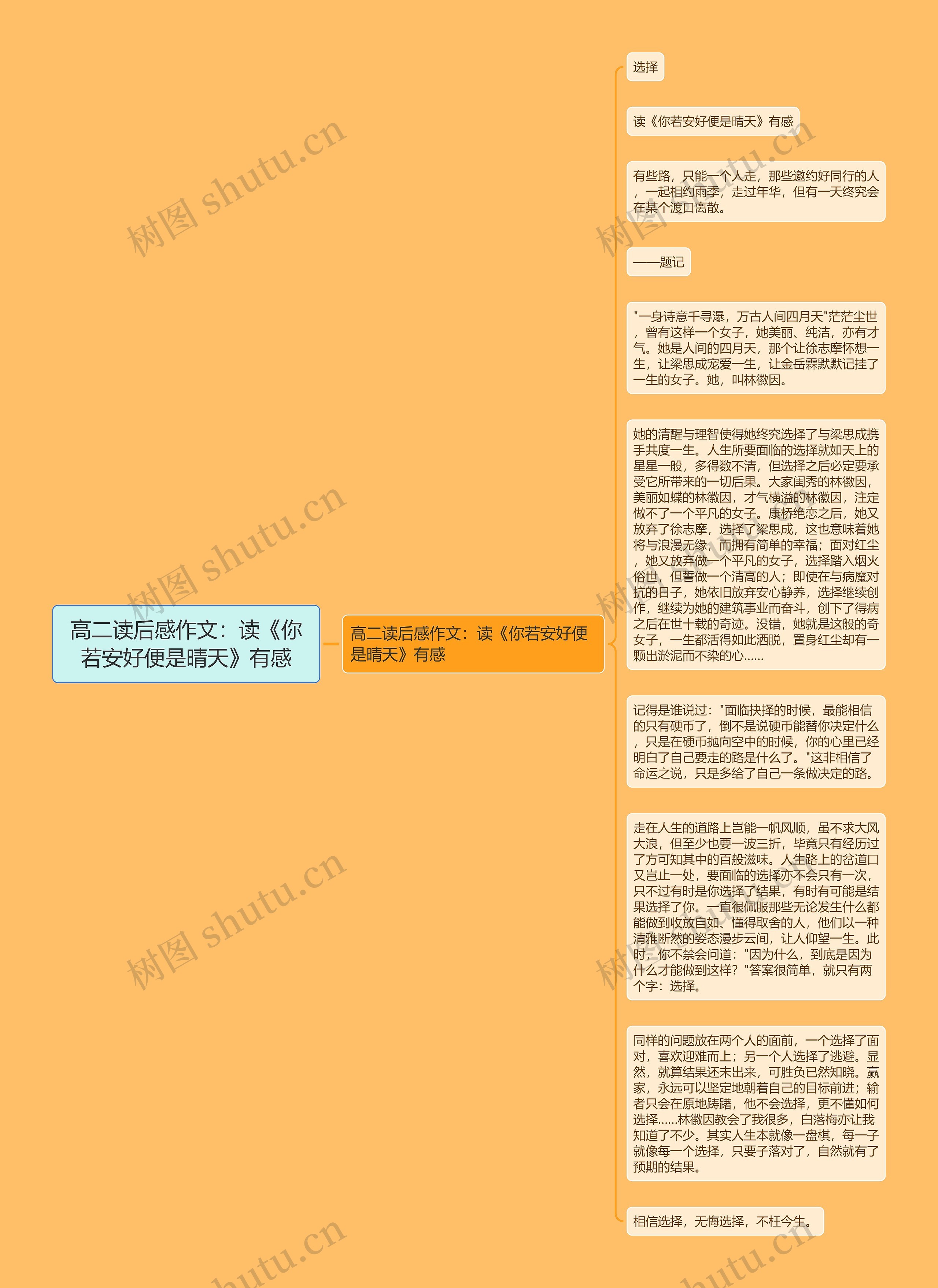 高二读后感作文：读《你若安好便是晴天》有感思维导图