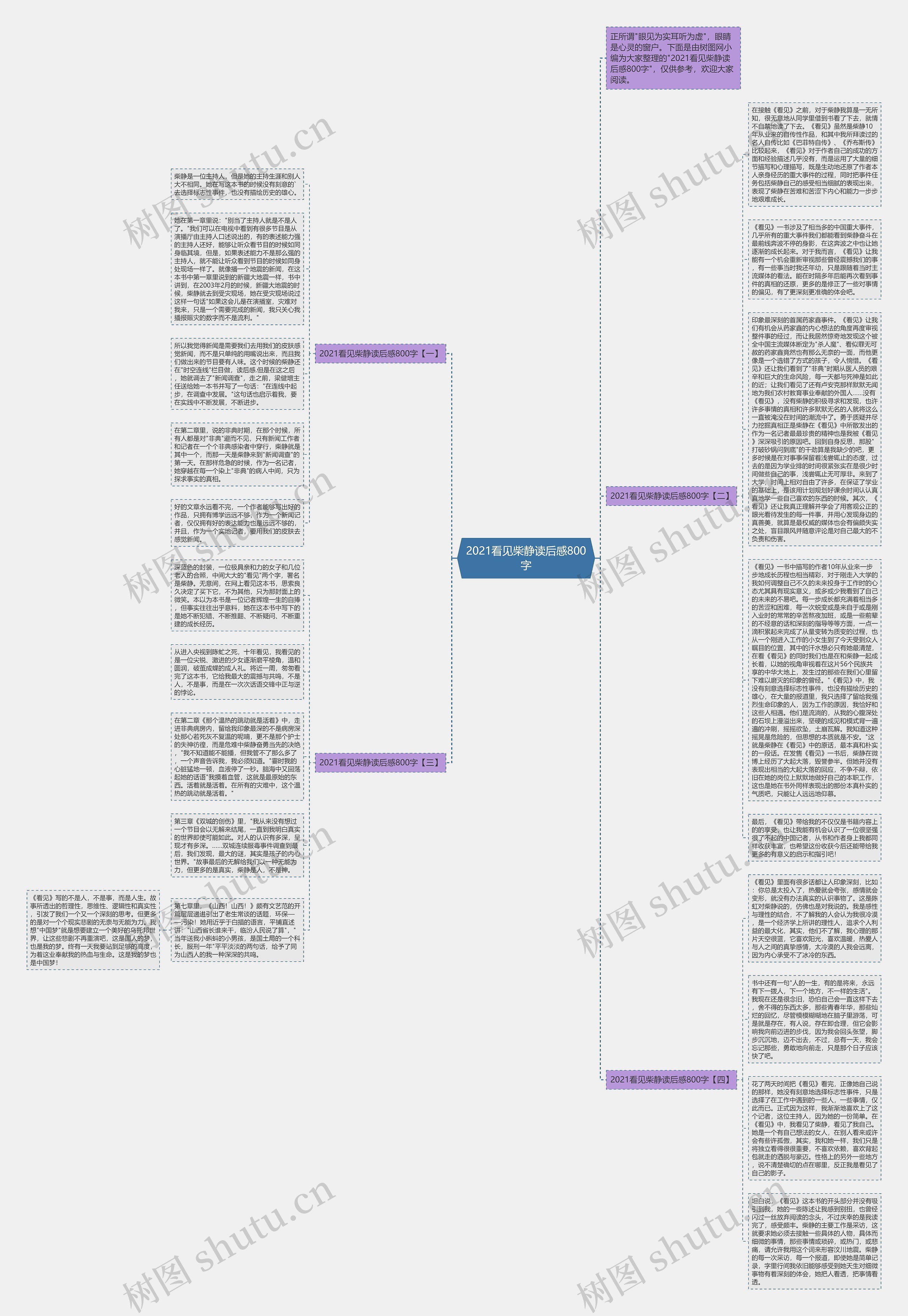 2021看见柴静读后感800字思维导图
