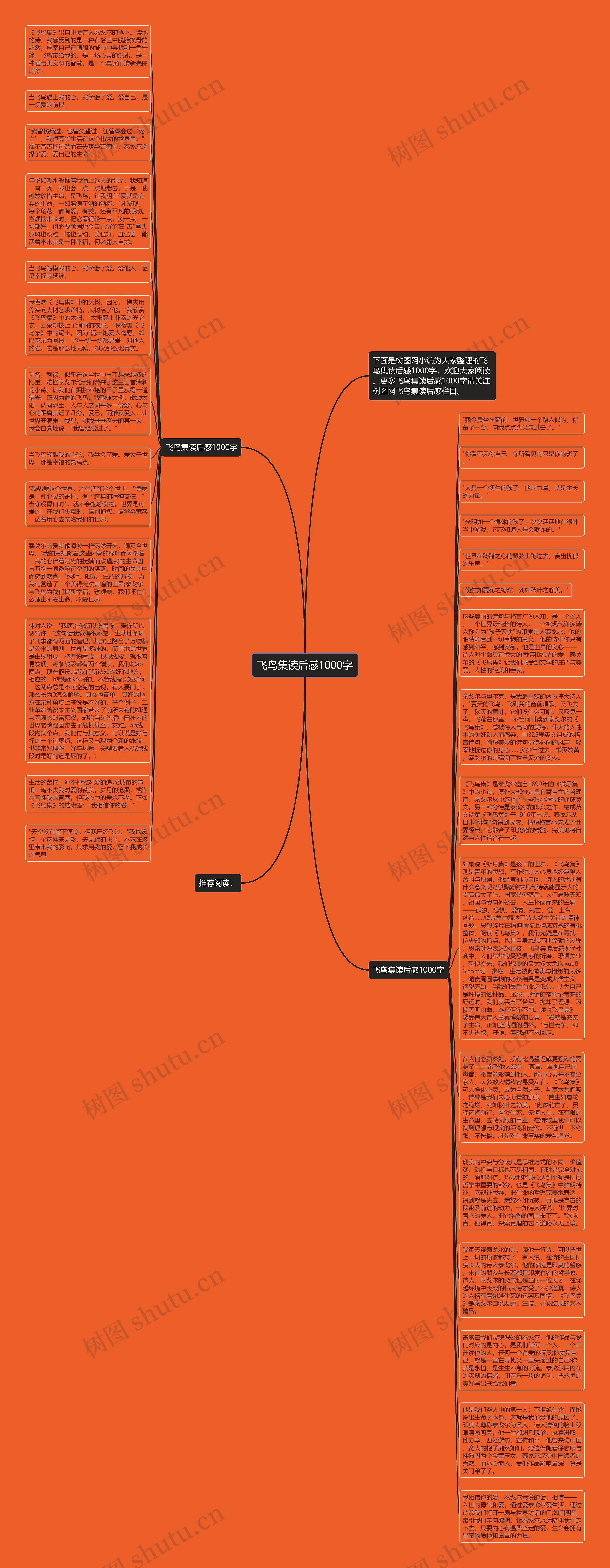 飞鸟集读后感1000字思维导图