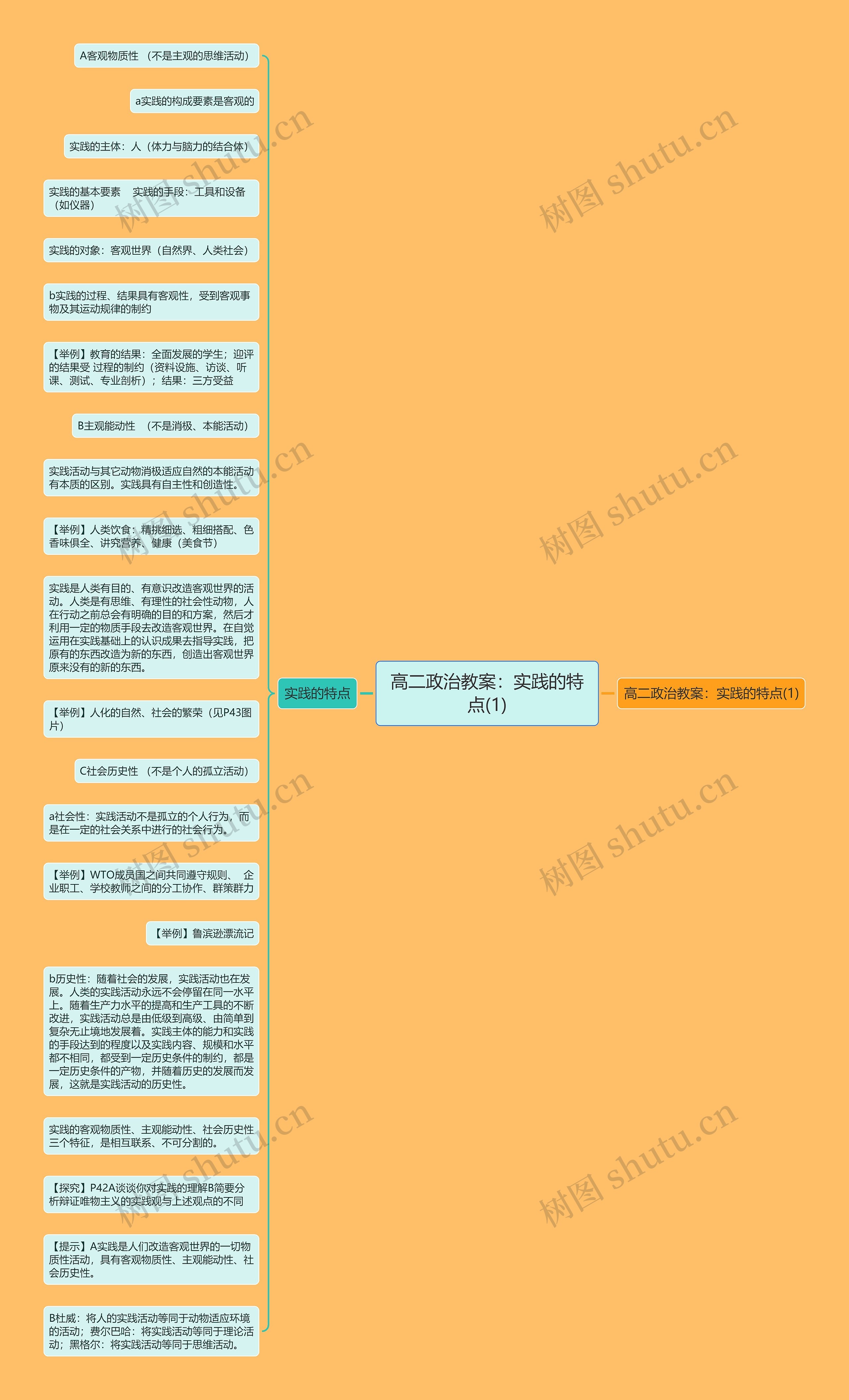 高二政治教案：实践的特点(1)