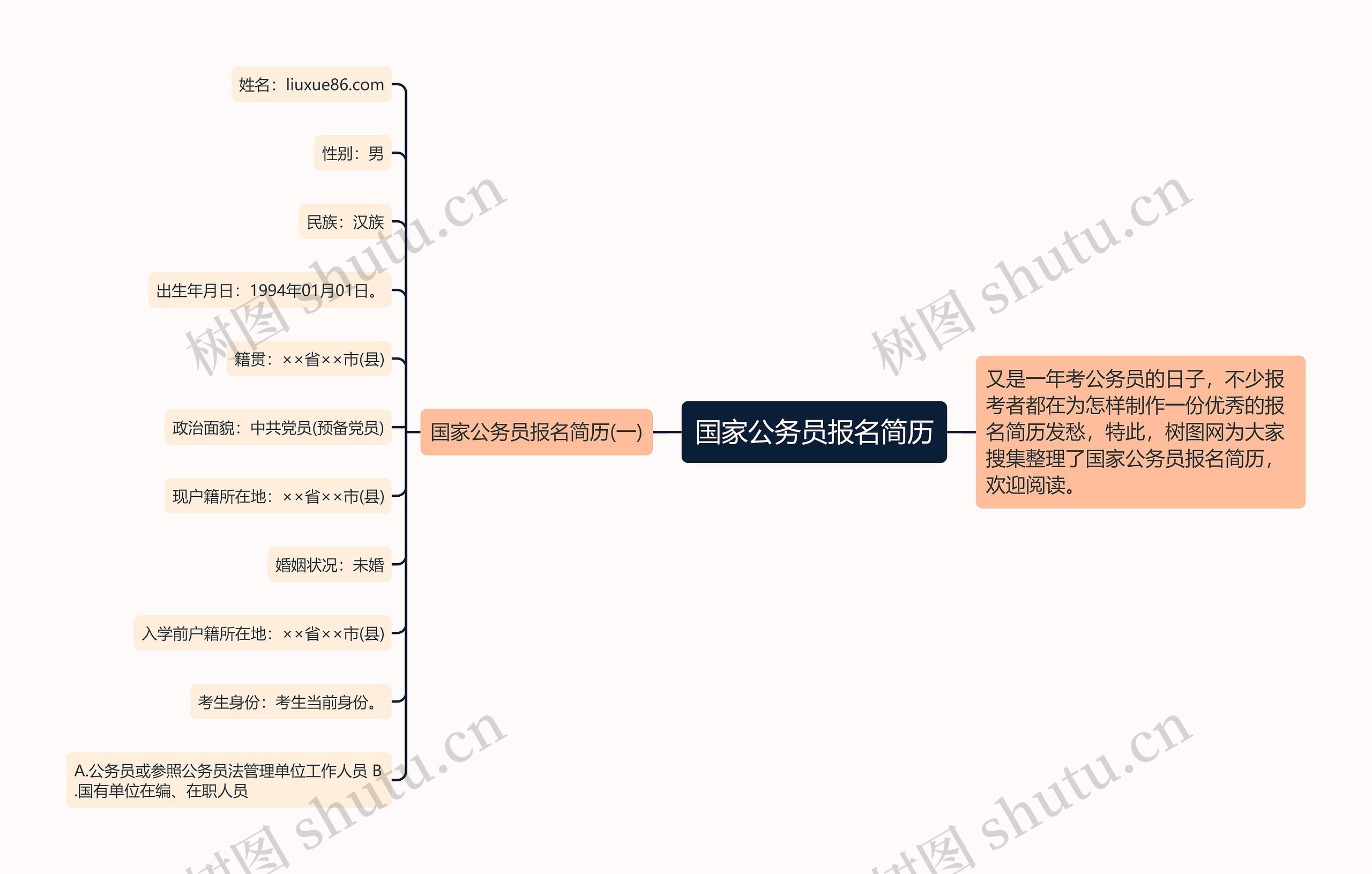 国家公务员报名简历